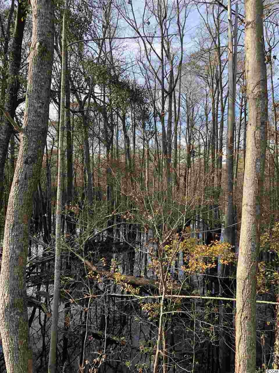 10a Bear Bluff Dr. Property Photo 7