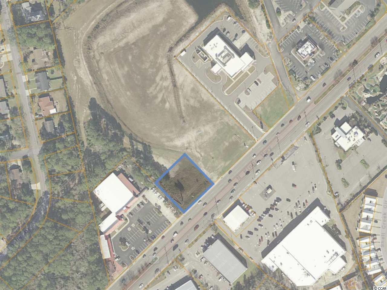 Tbd Highway 17 South Property Photo 1