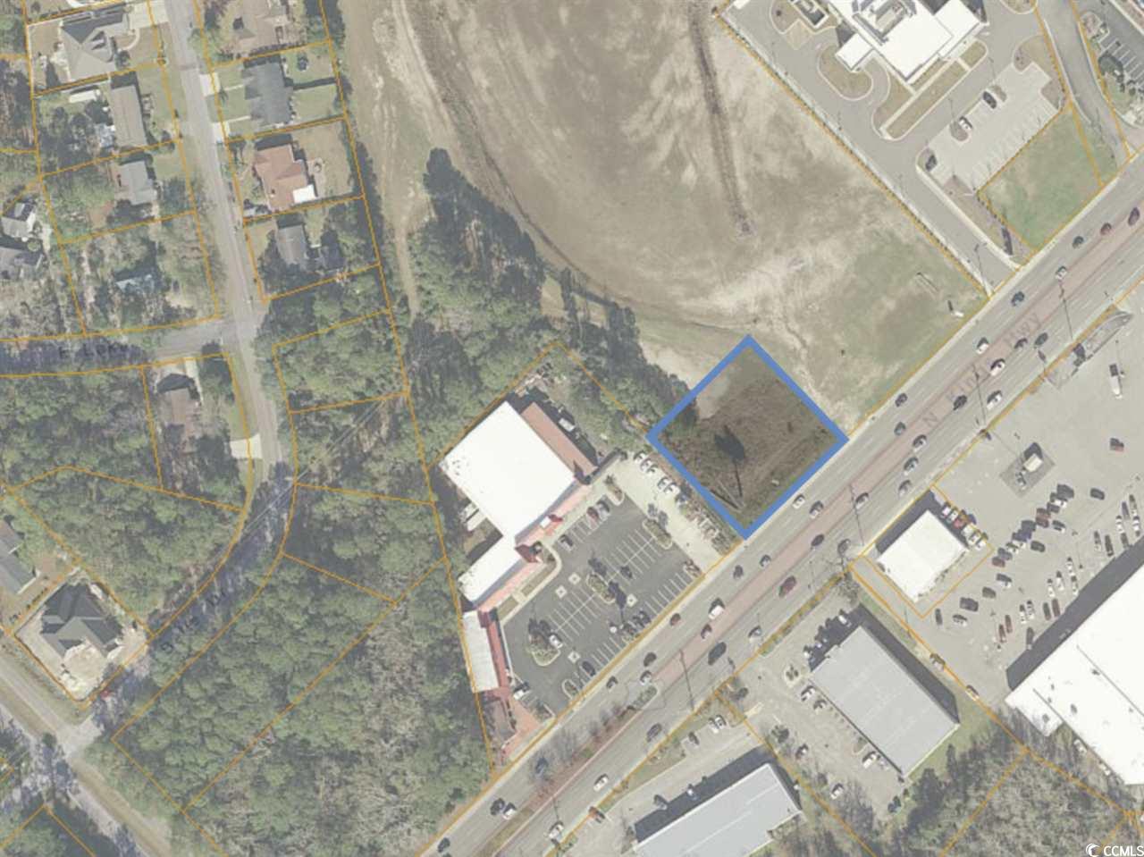 Tbd Highway 17 South Property Photo 3