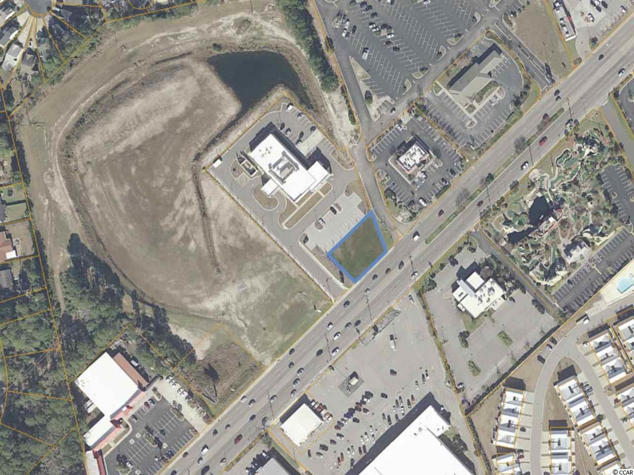 Tbd Highway 17 South Property Photo 2