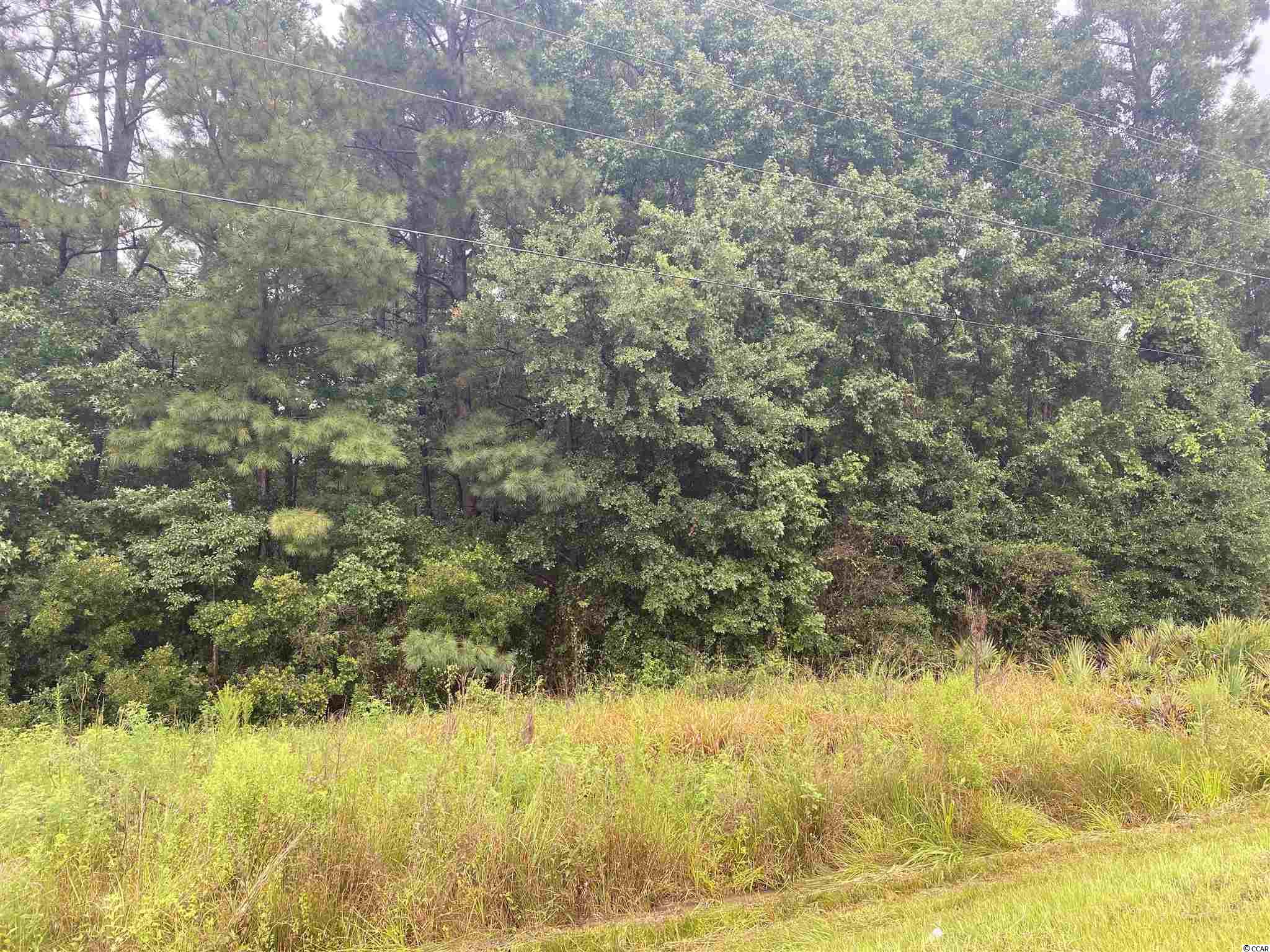 2626 Highway 378 Property Photo 2