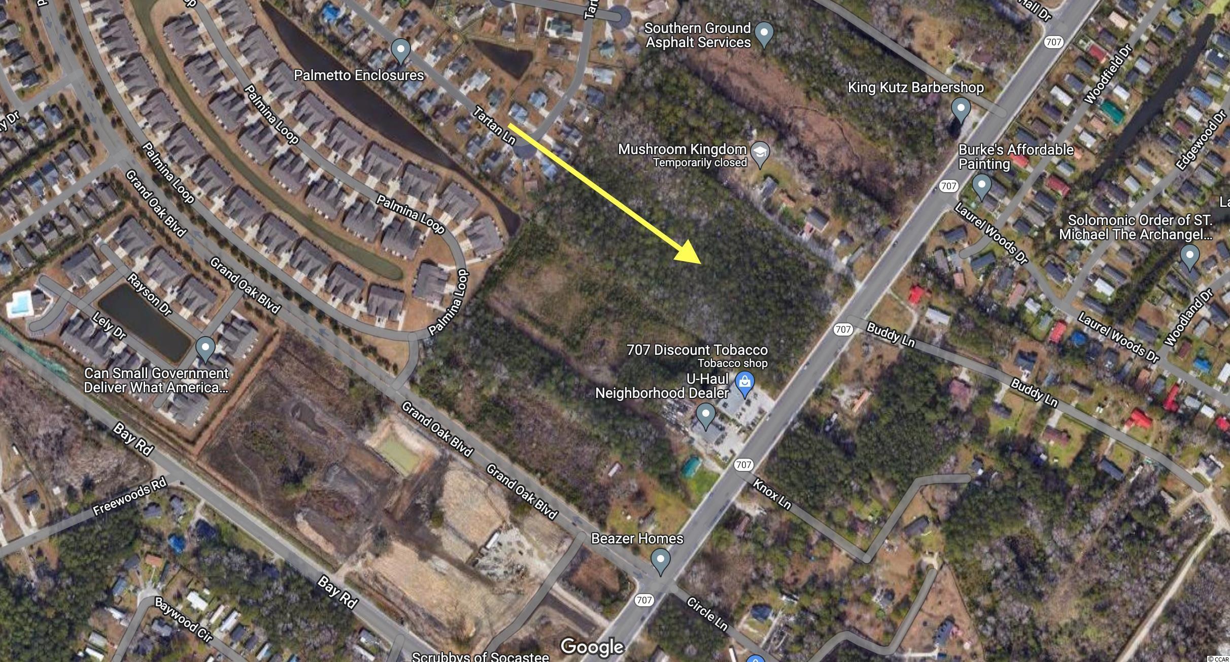 0 Highway 707 Property Photo 2