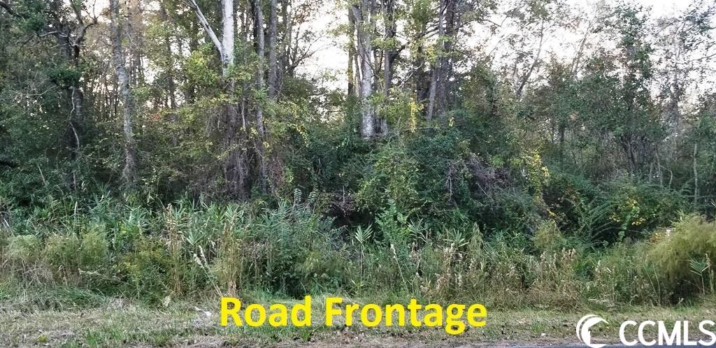 Tract A S Browns Way Shortcut Rd. Property Photo 5
