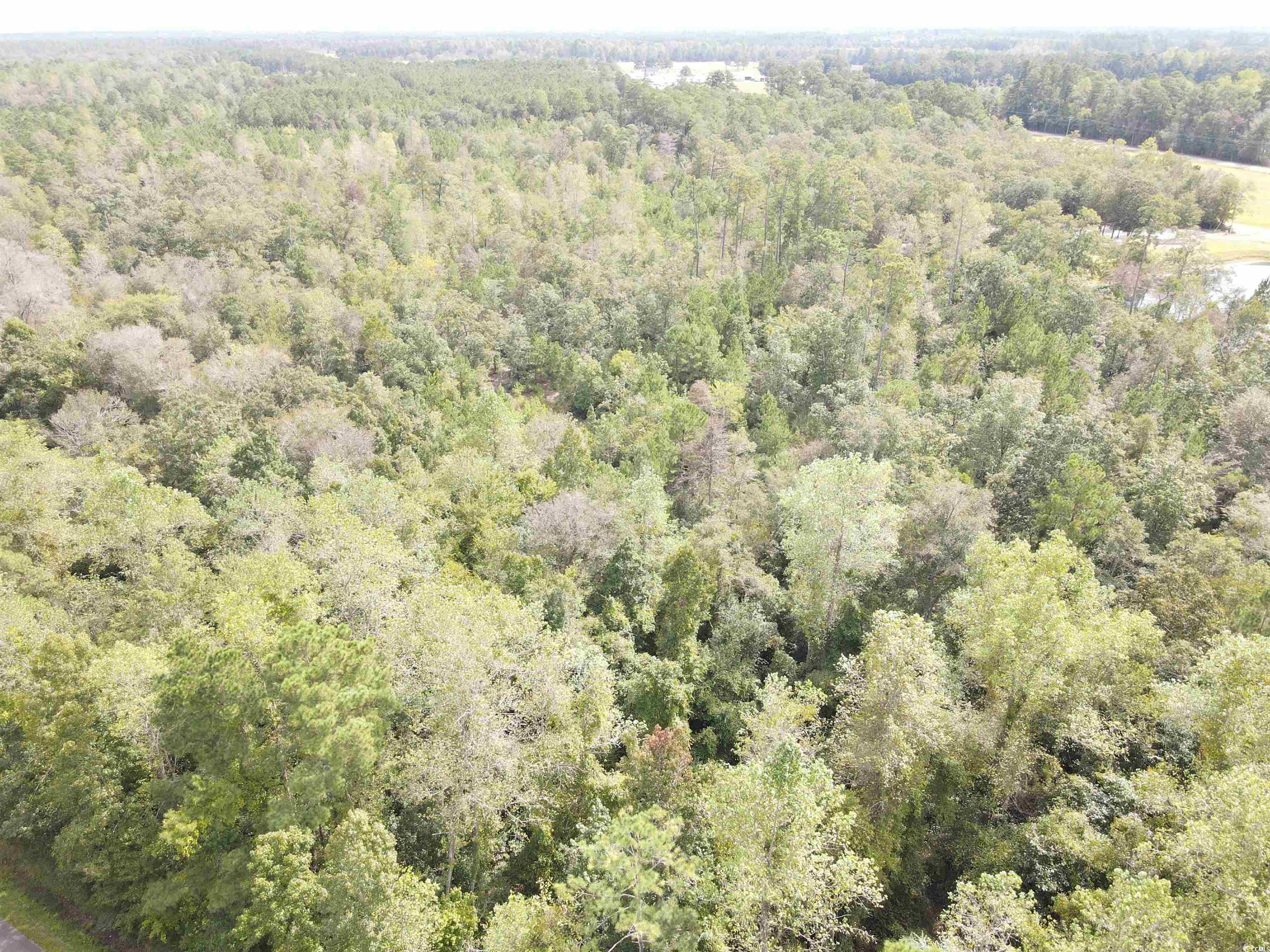 Lot 6 Rainbow Dr. Property Photo 1
