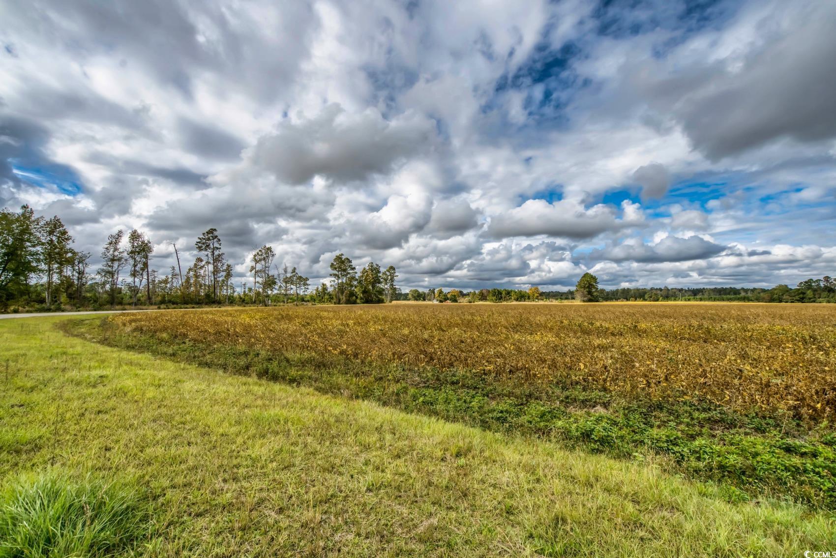 Tbd Fowler Rd. Property Photo 9