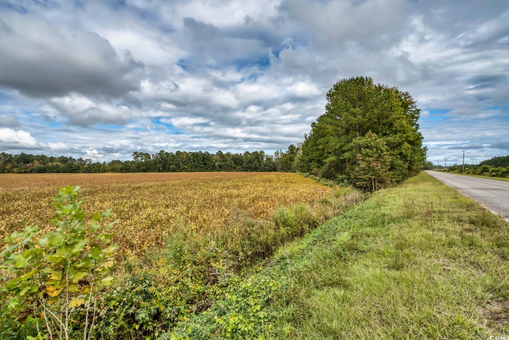 Tbd Fowler Rd. Property Photo 13