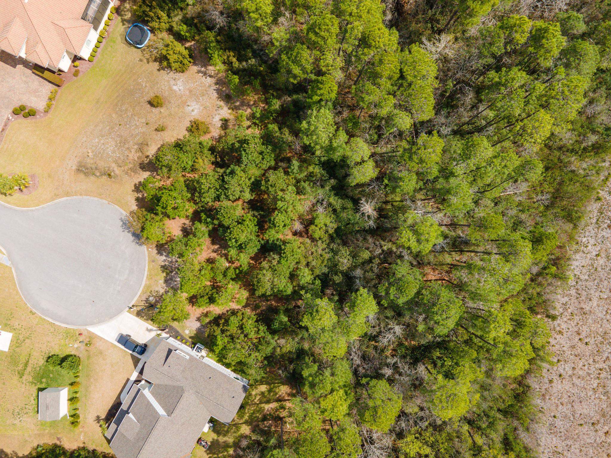 425 Palo Verde Dr. Property Photo 16