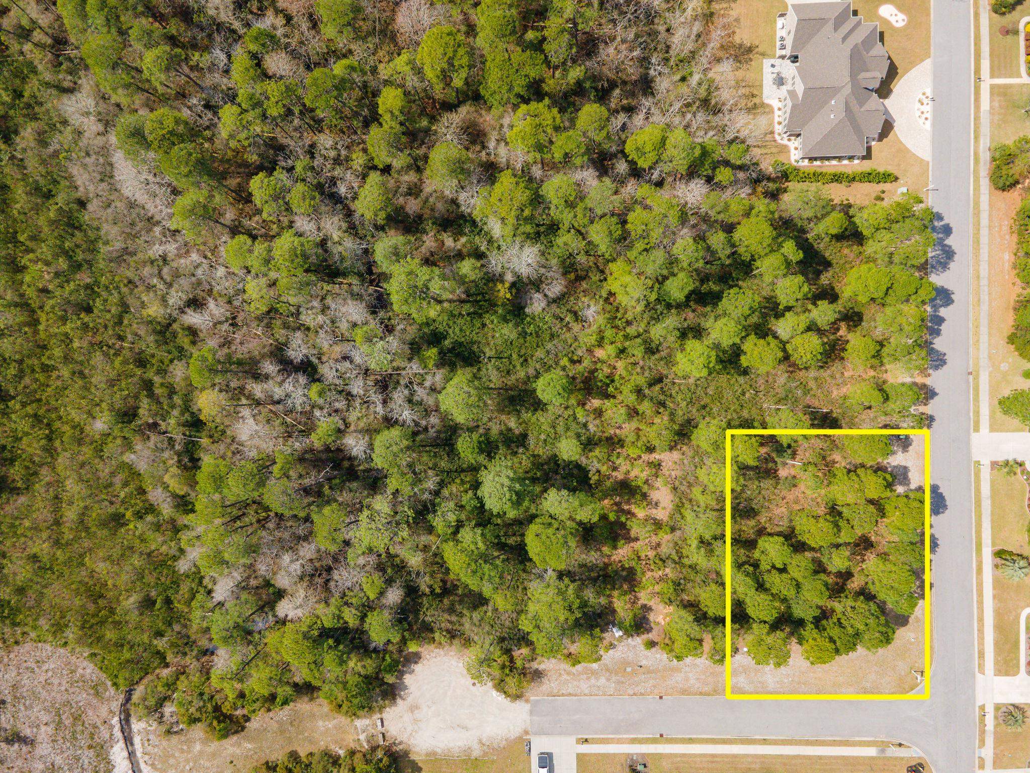 1259 Ficus Dr. Property Photo 7