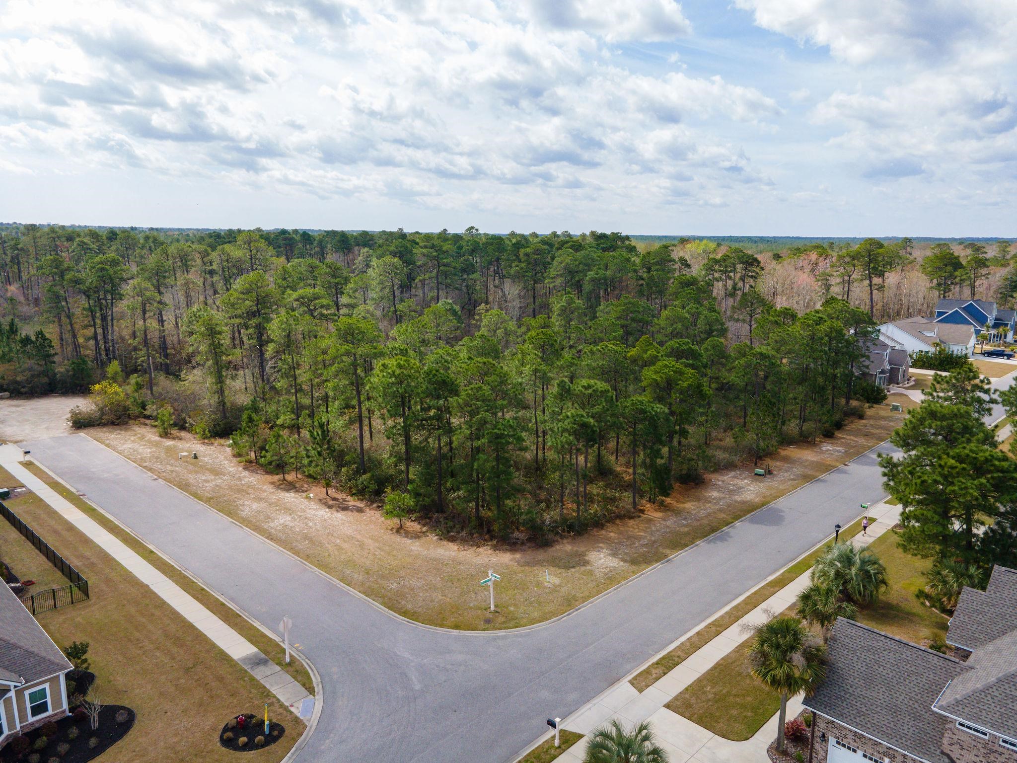1259 Ficus Dr. Property Photo 10