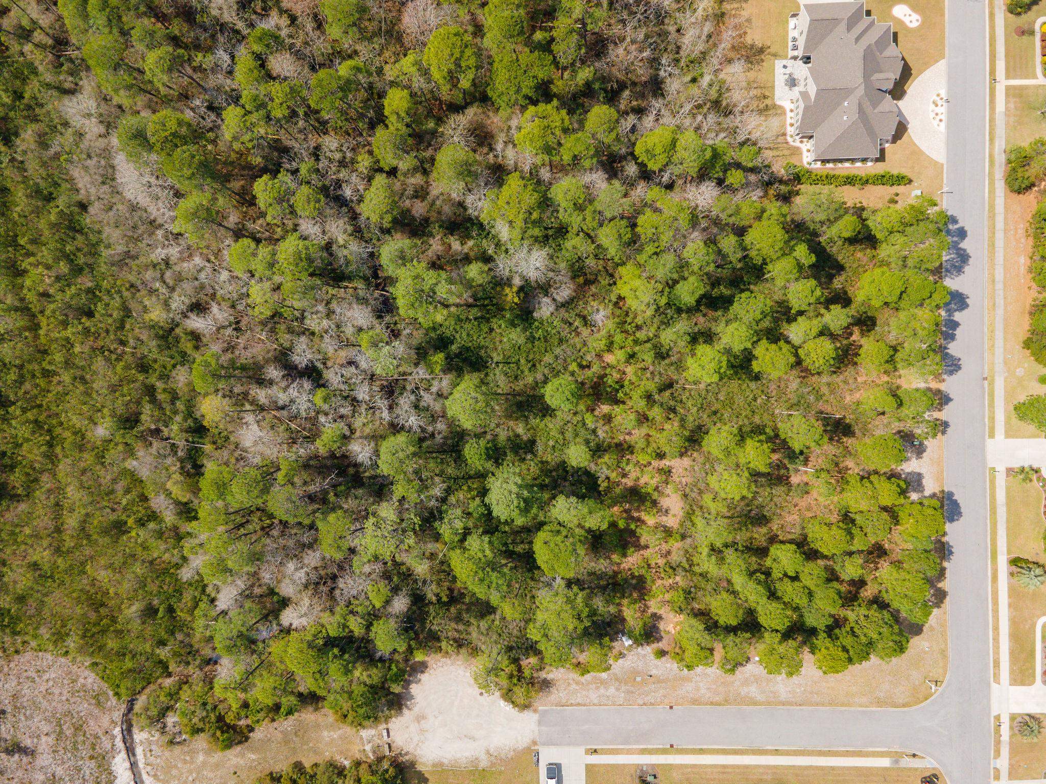 Arco Dr. Property Photo 3
