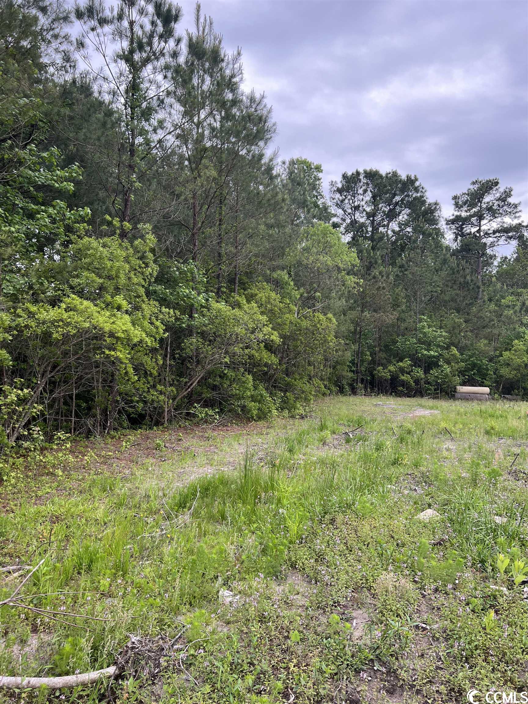 Tbd Betts Rd. Property Photo 3