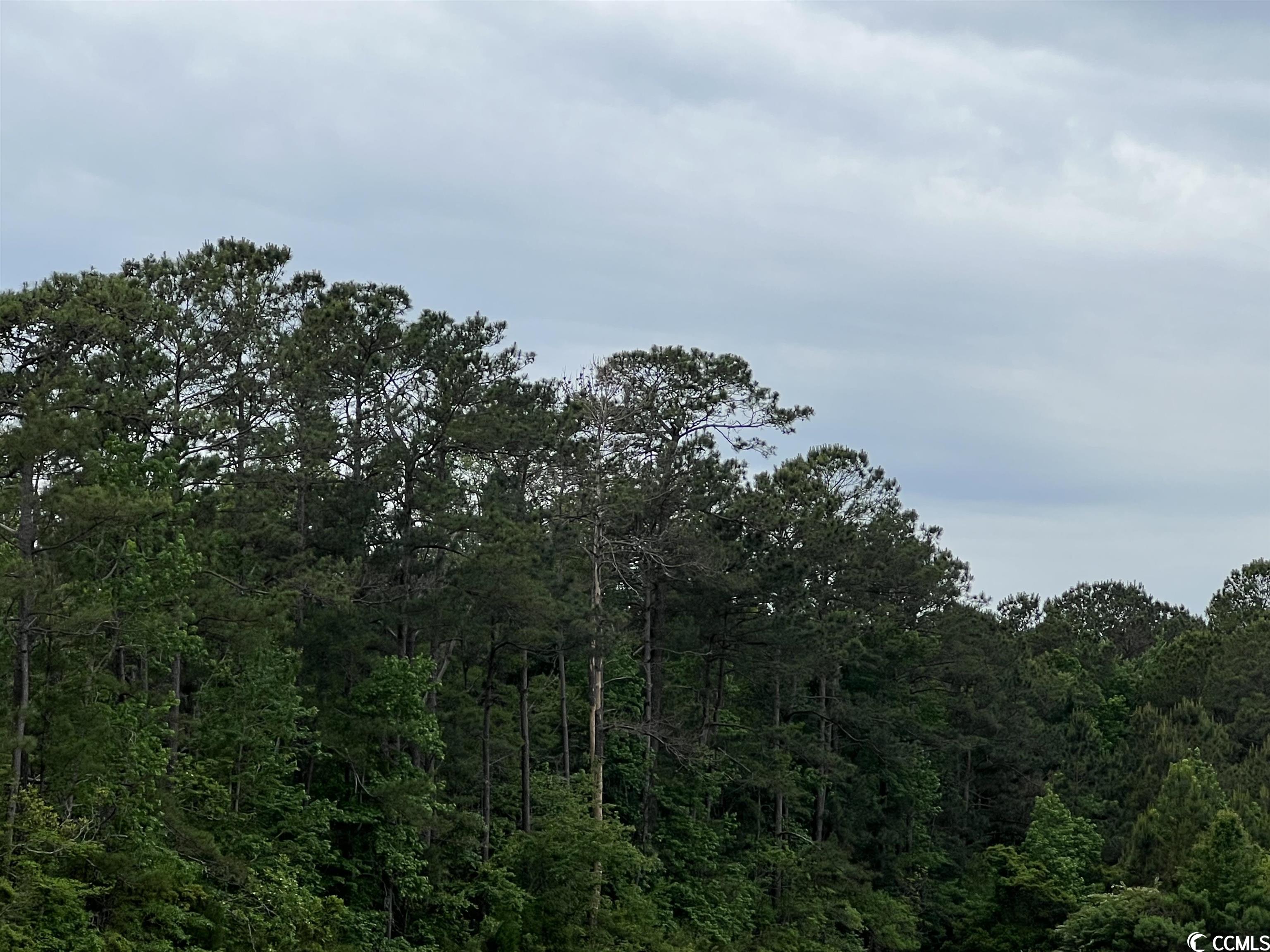 Tbd Betts Rd. Property Photo 5