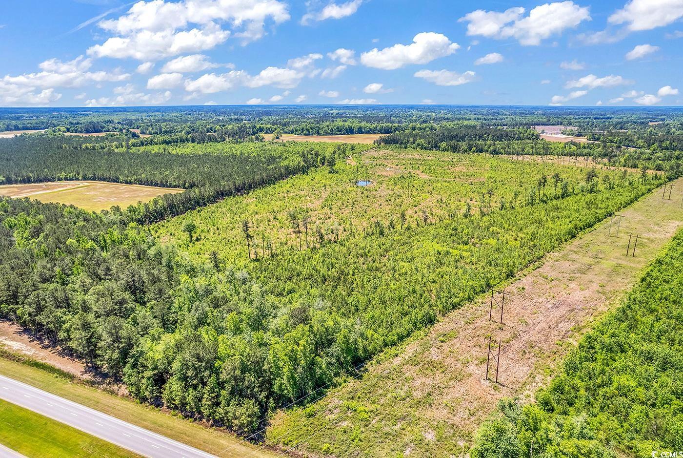 Tbd Highway 501 Property Photo 28