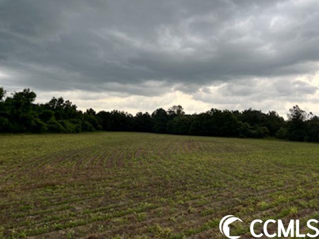 821 Lake City Hwy. Property Photo 7