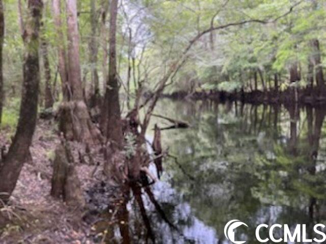 821 Lake City Hwy. Property Photo 9