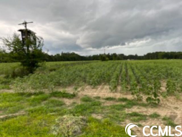 821 Lake City Hwy. Property Photo 11