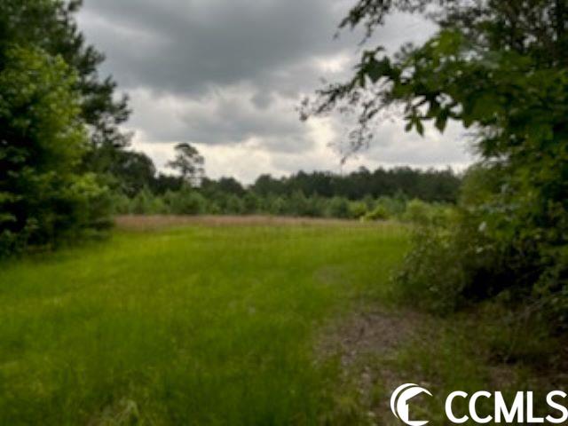 821 Lake City Hwy. Property Photo 12