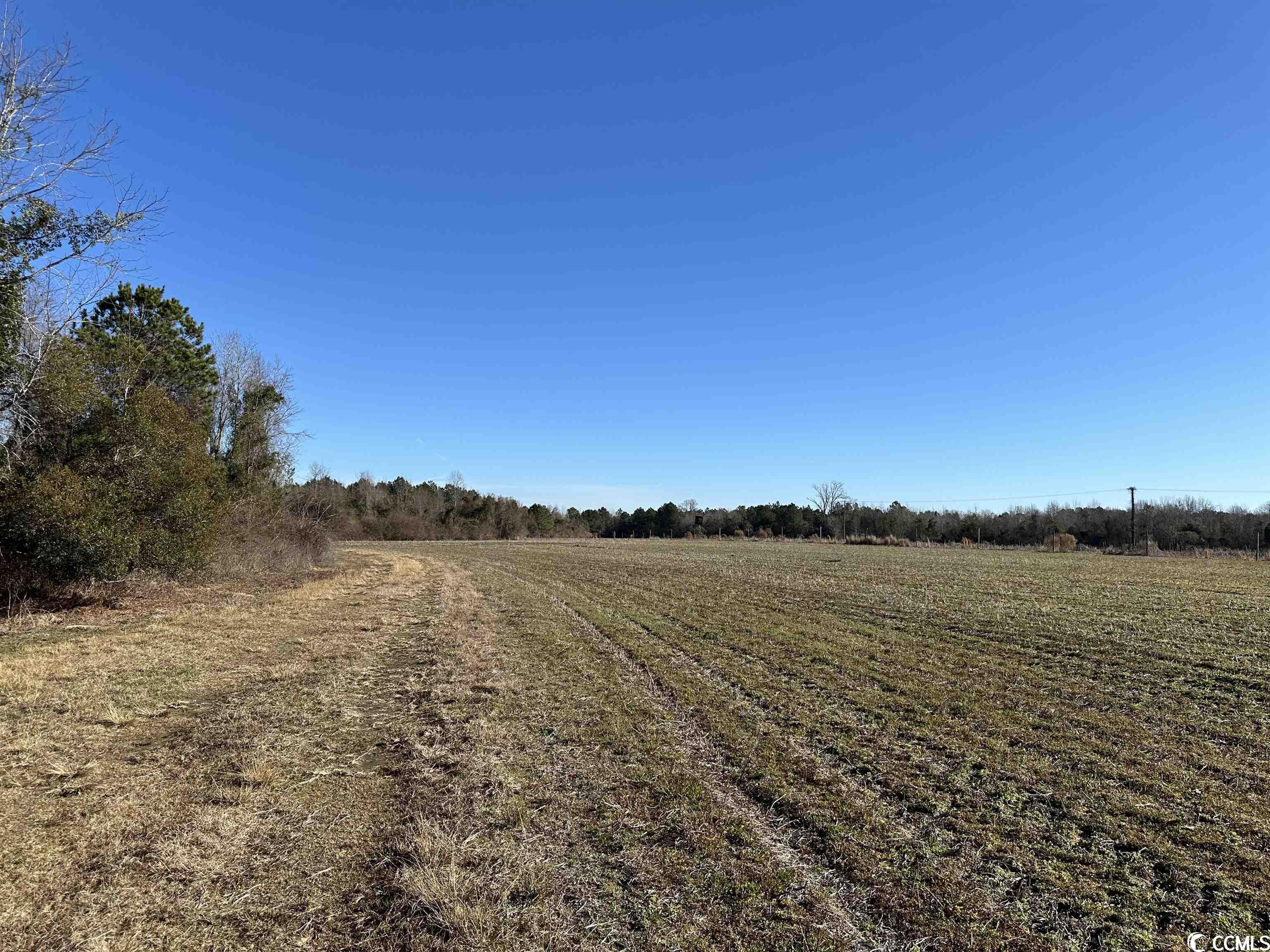 821 Lake City Hwy. Property Photo 14