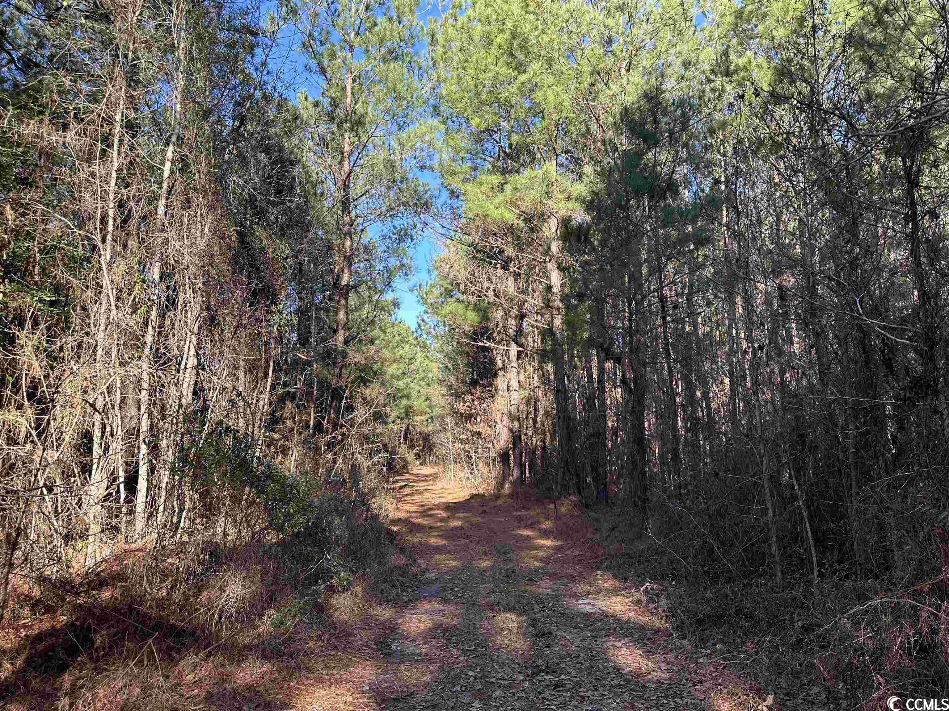 821 Lake City Hwy. Property Photo 15