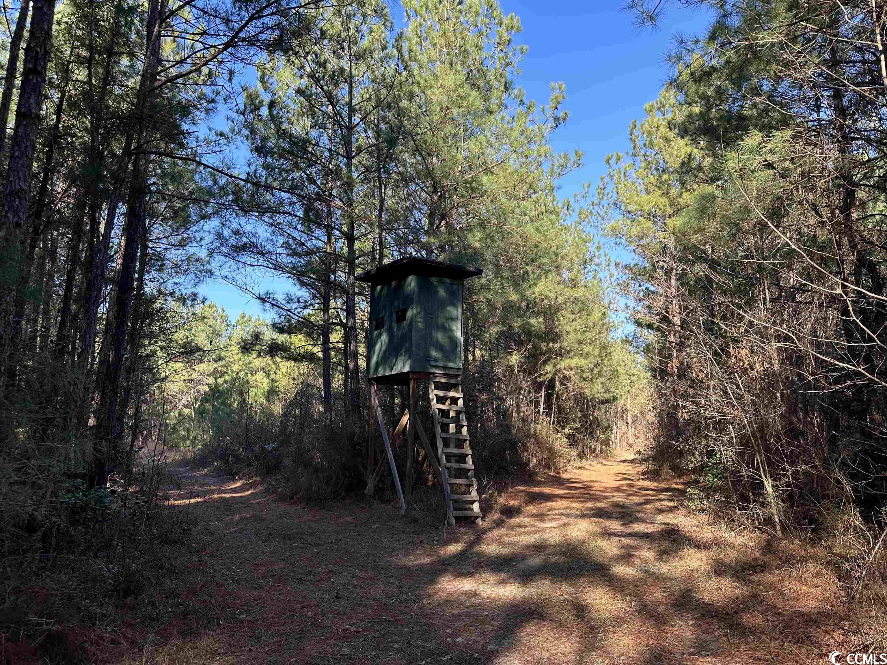 821 Lake City Hwy. Property Photo 16