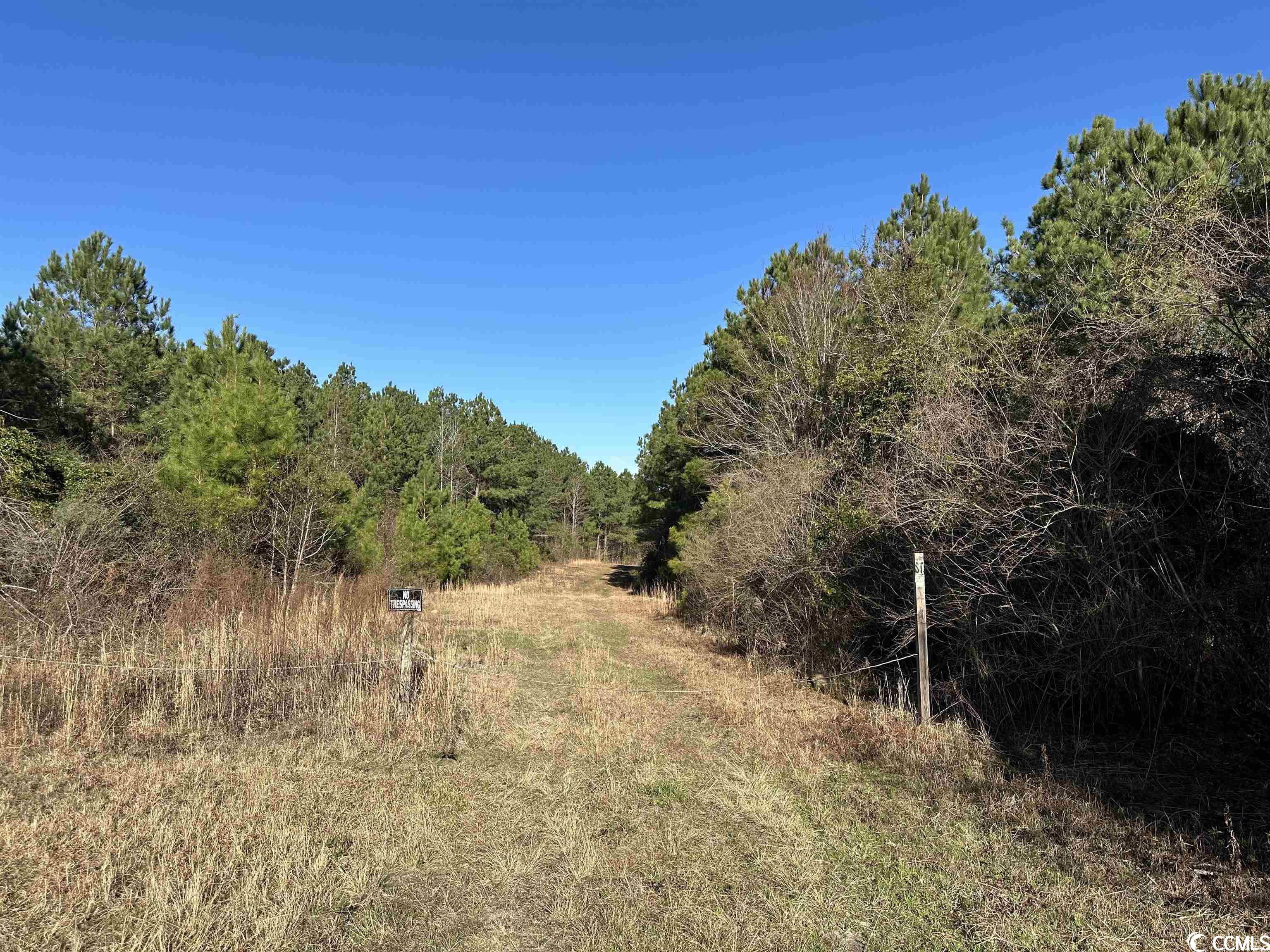 821 Lake City Hwy. Property Photo 17