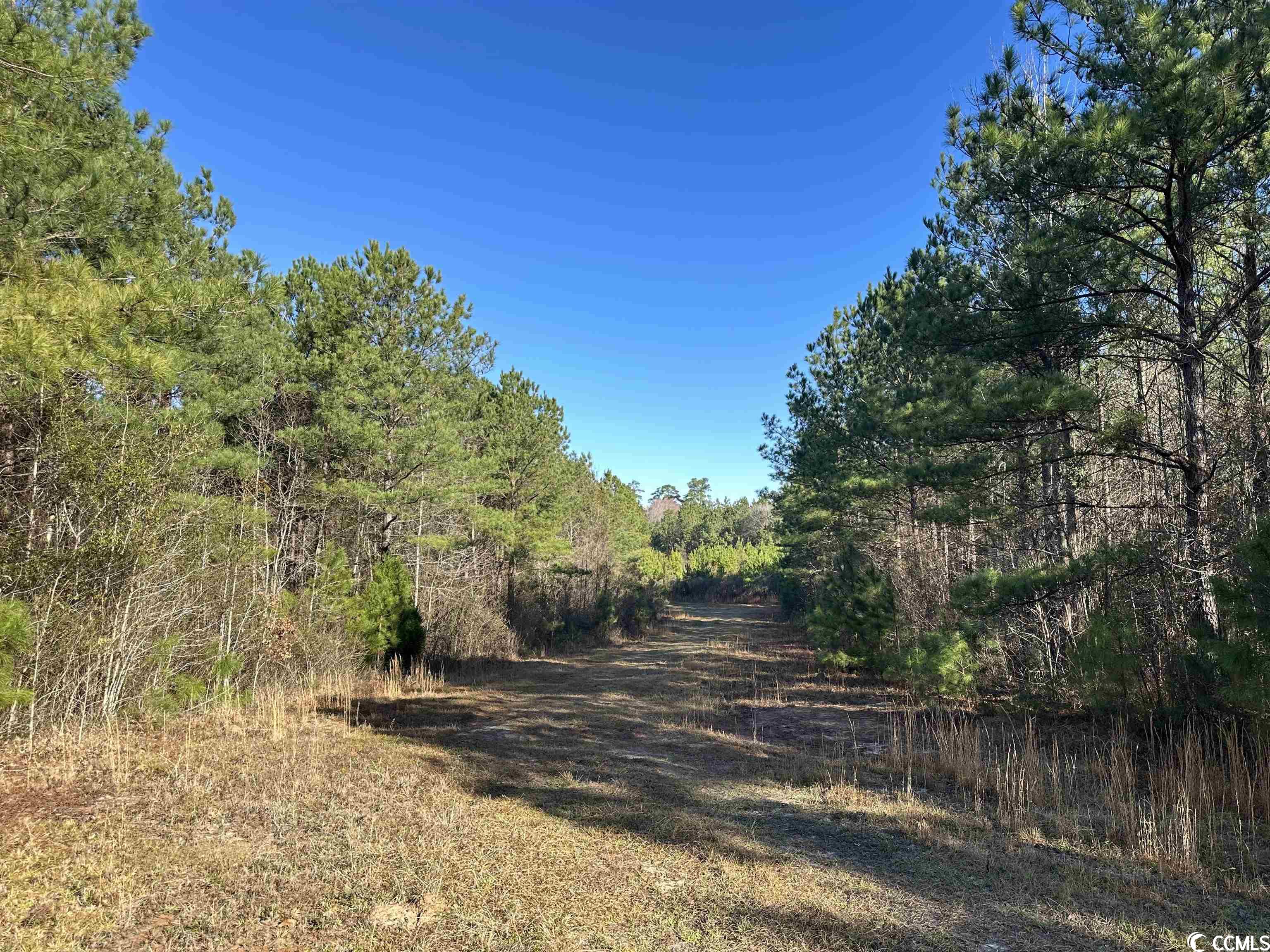 821 Lake City Hwy. Property Photo 18
