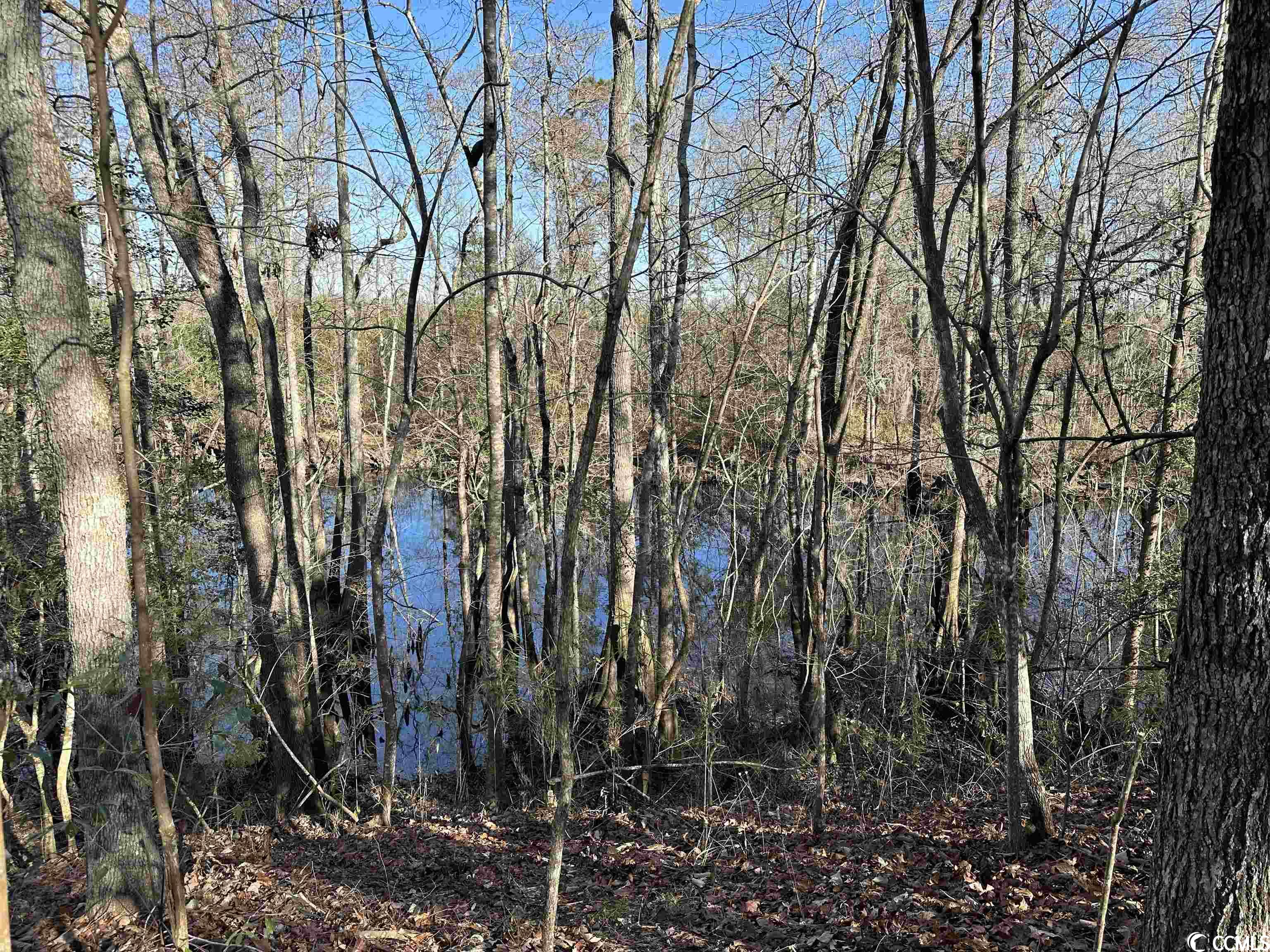 821 Lake City Hwy. Property Photo 20