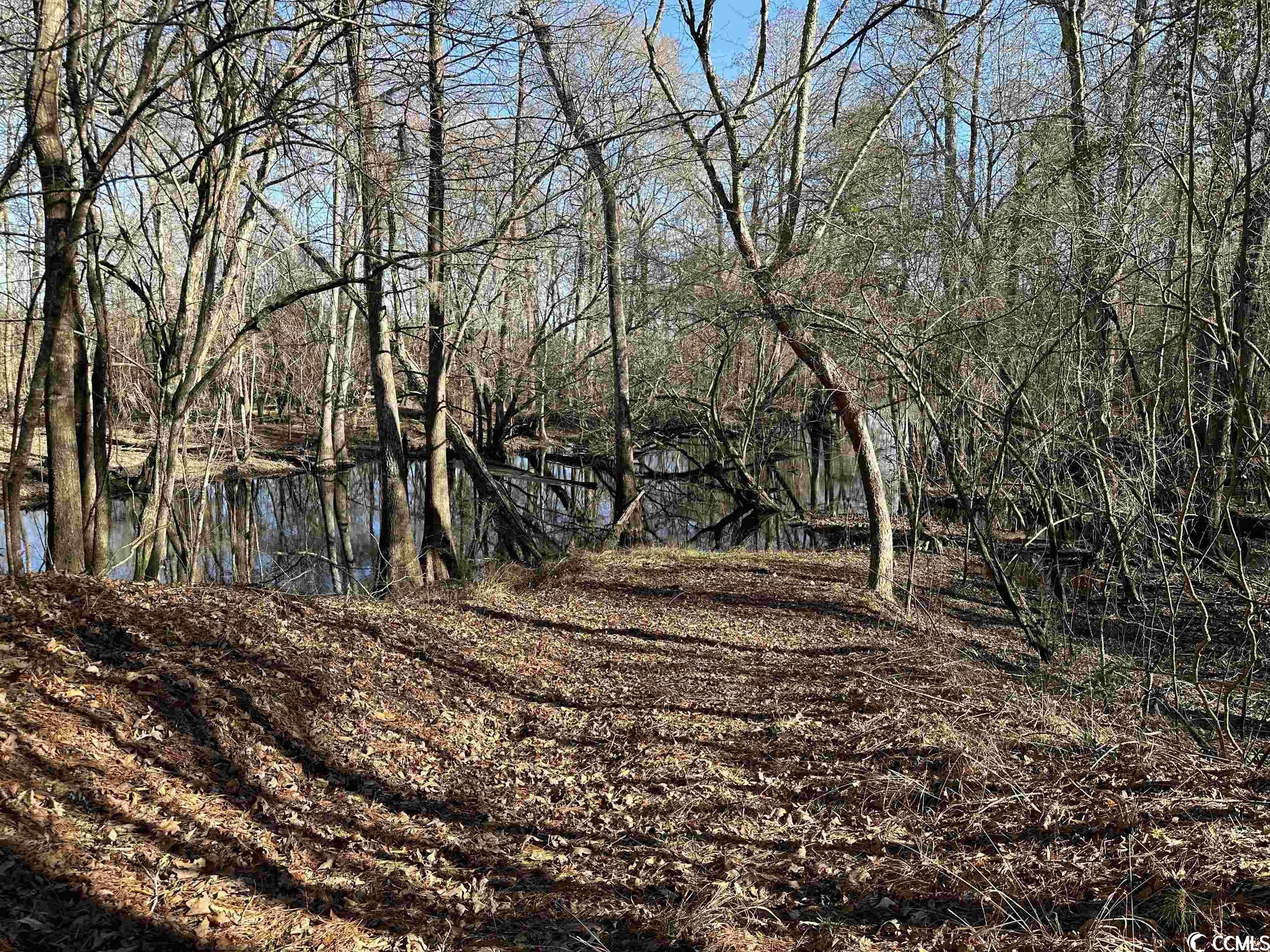 821 Lake City Hwy. Property Photo 21
