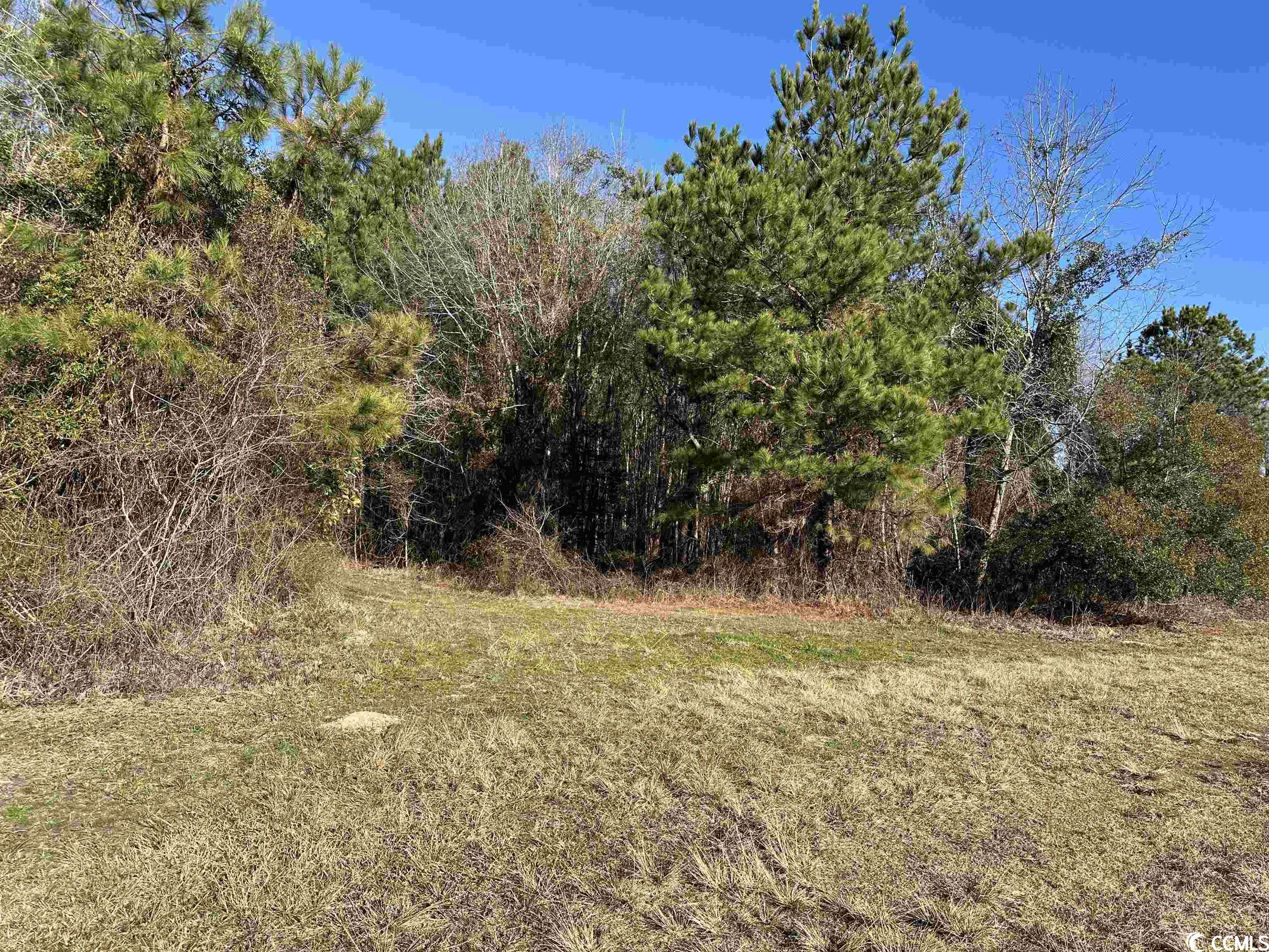 821 Lake City Hwy. Property Photo 22