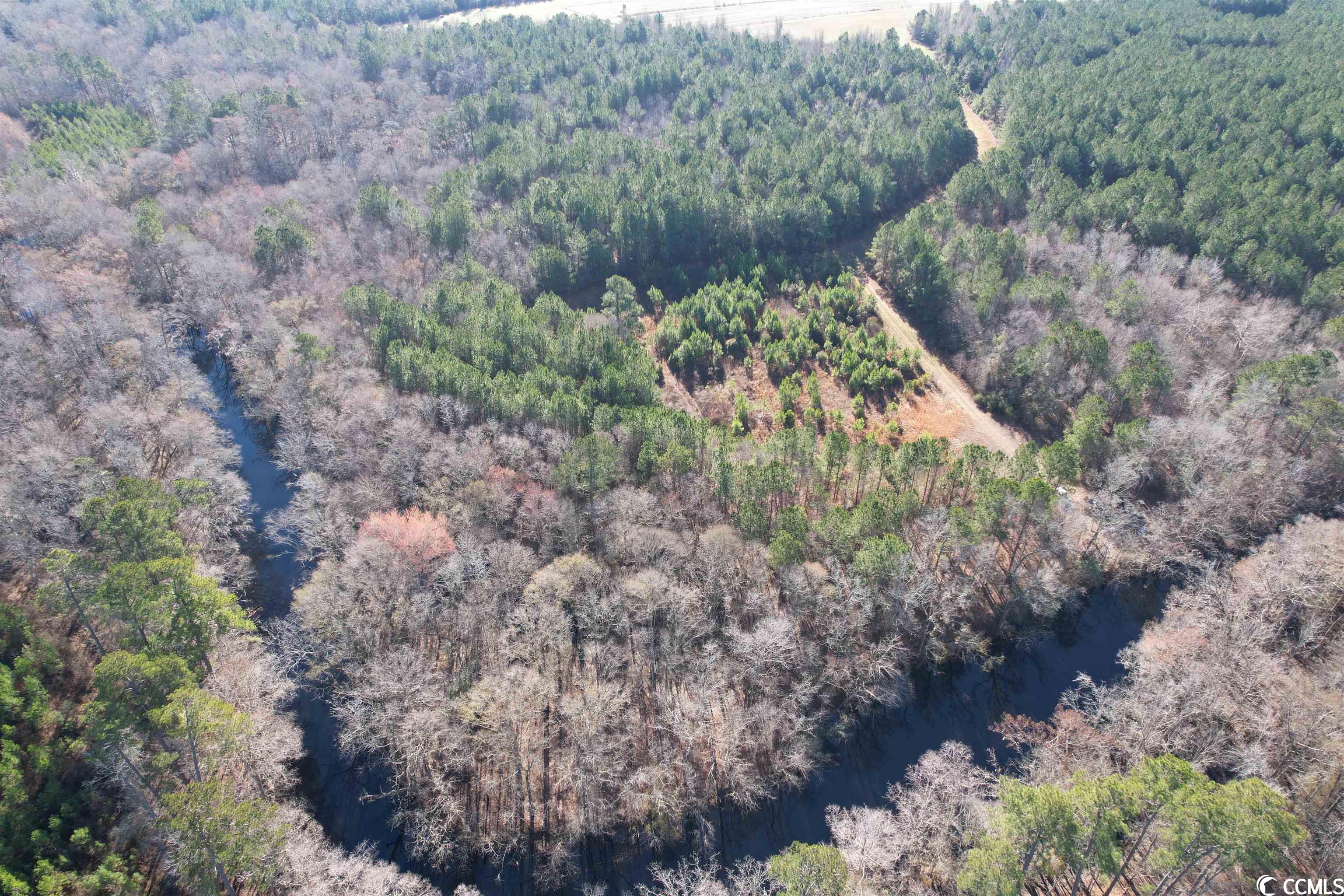 821 Lake City Hwy. Property Photo 31