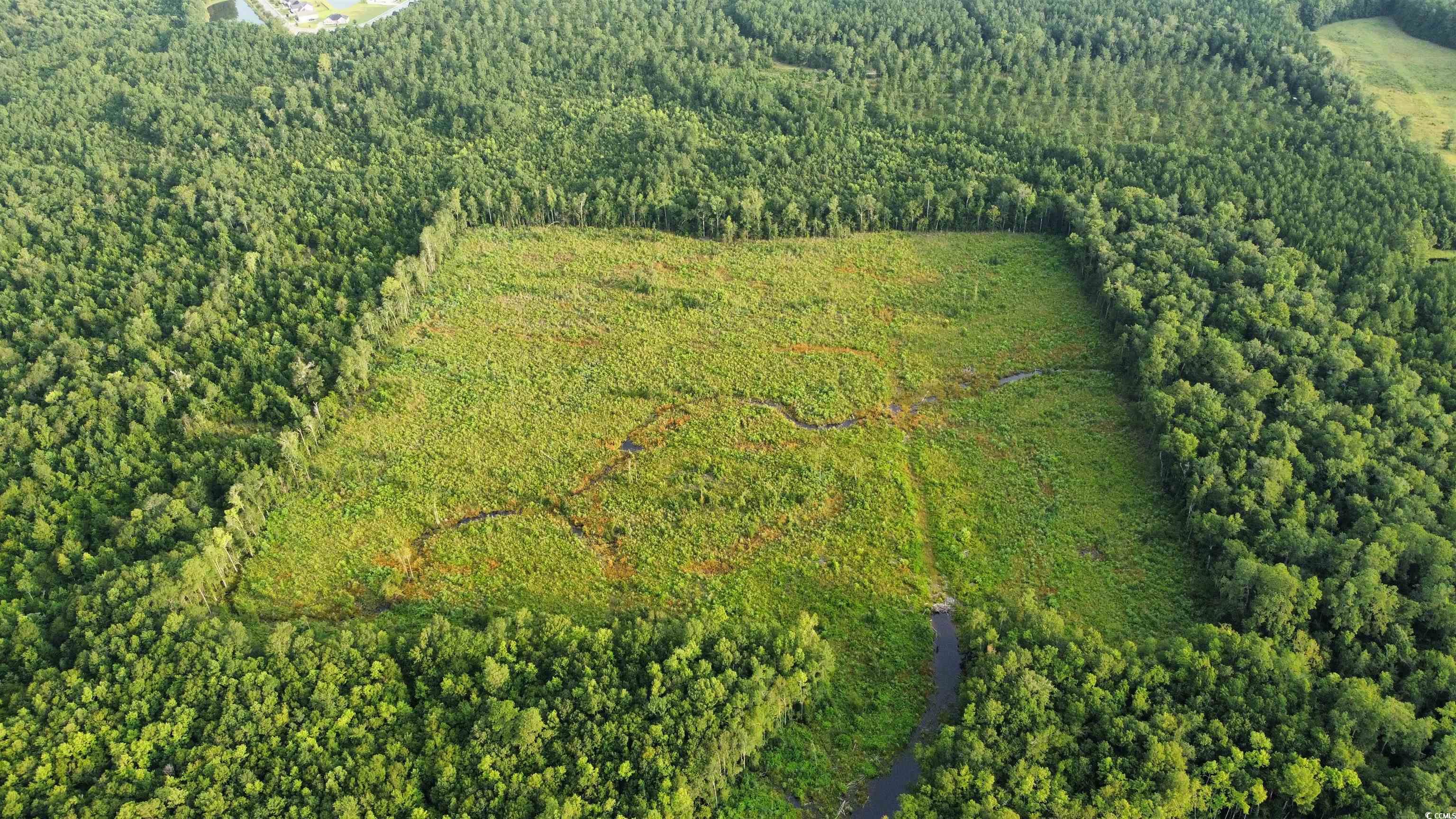 Tbd Oak Log Lake Rd. Property Photo 2
