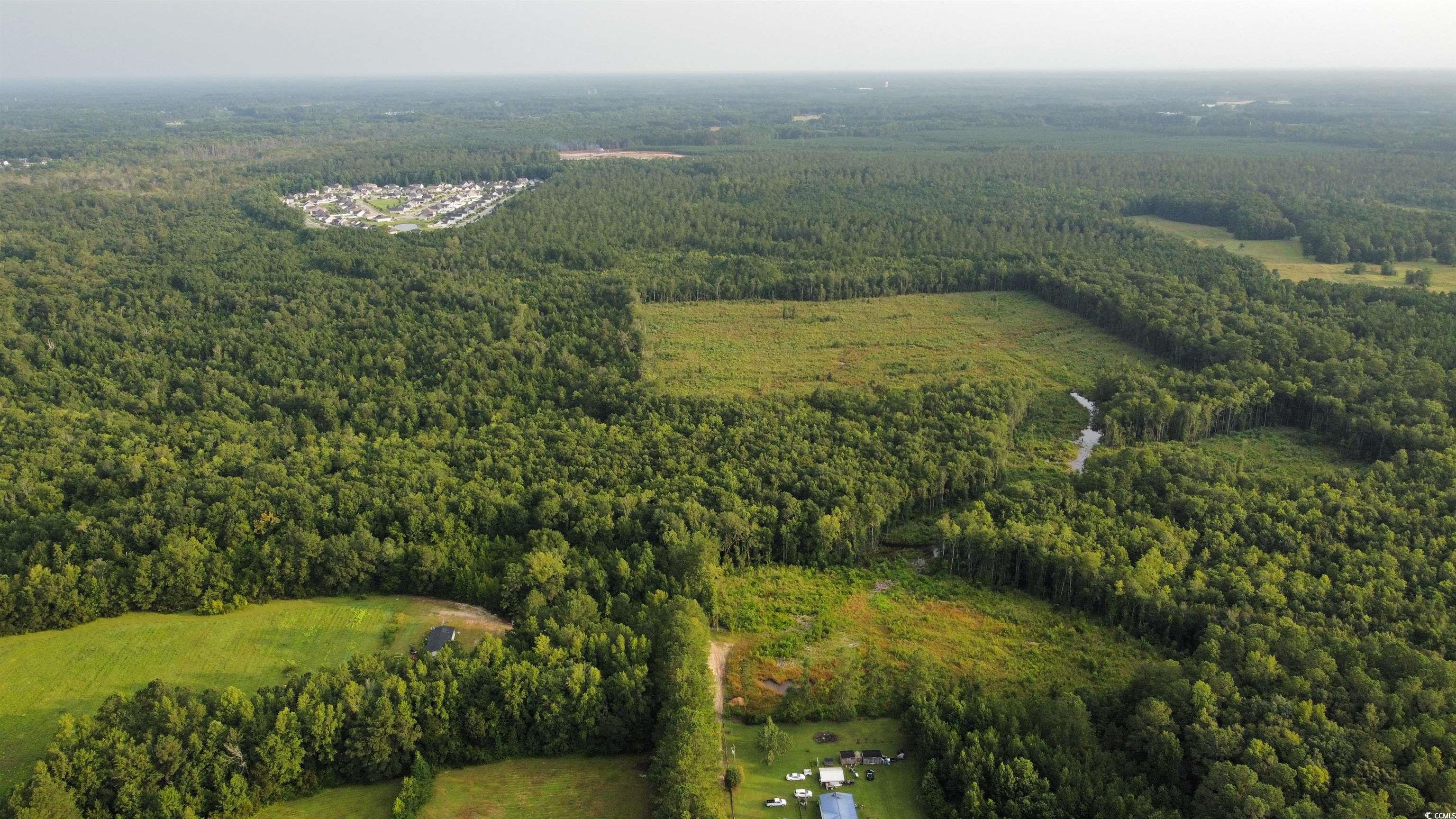 Tbd Oak Log Lake Rd. Property Photo 3