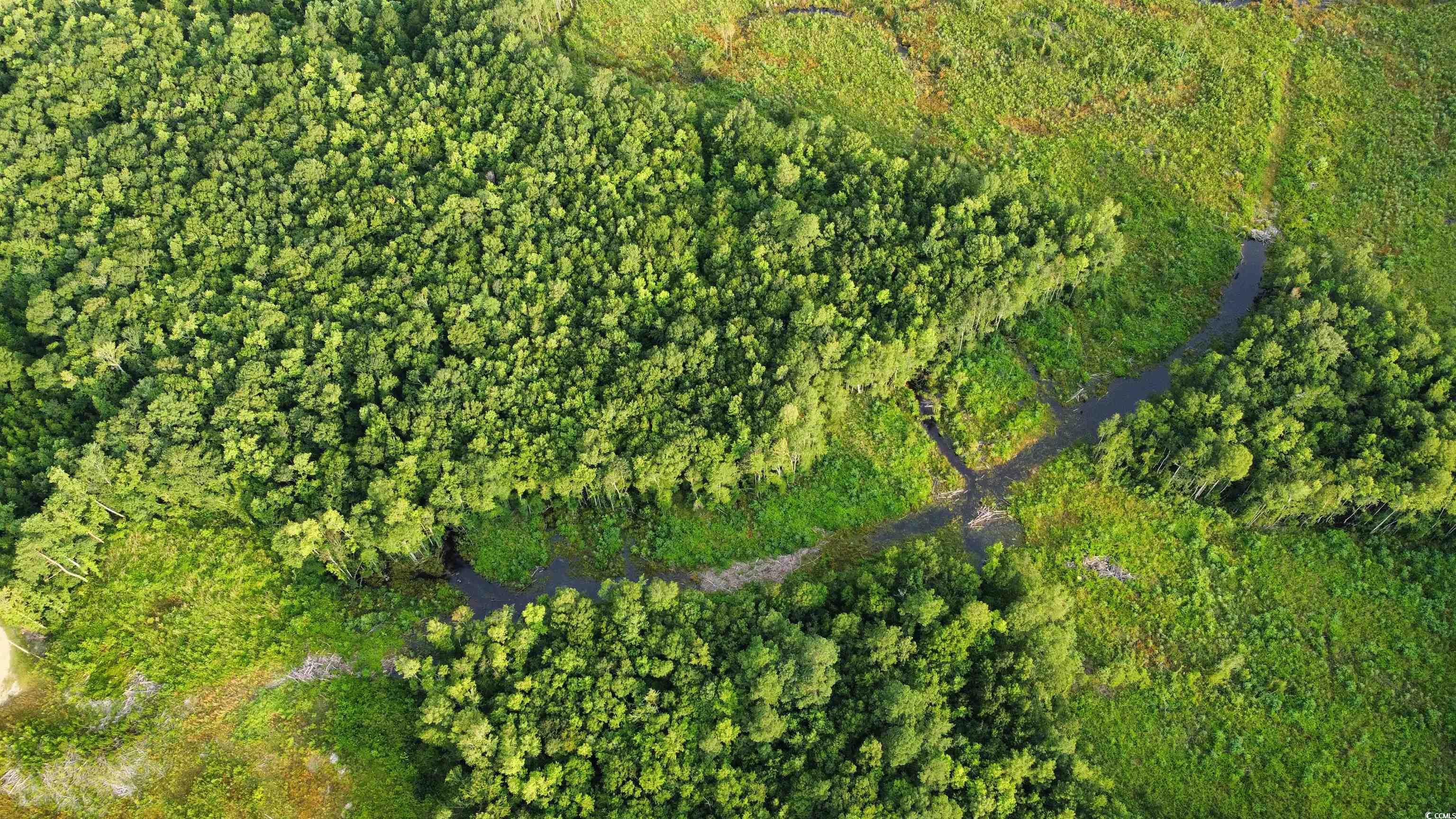 Tbd Oak Log Lake Rd. Property Photo 4