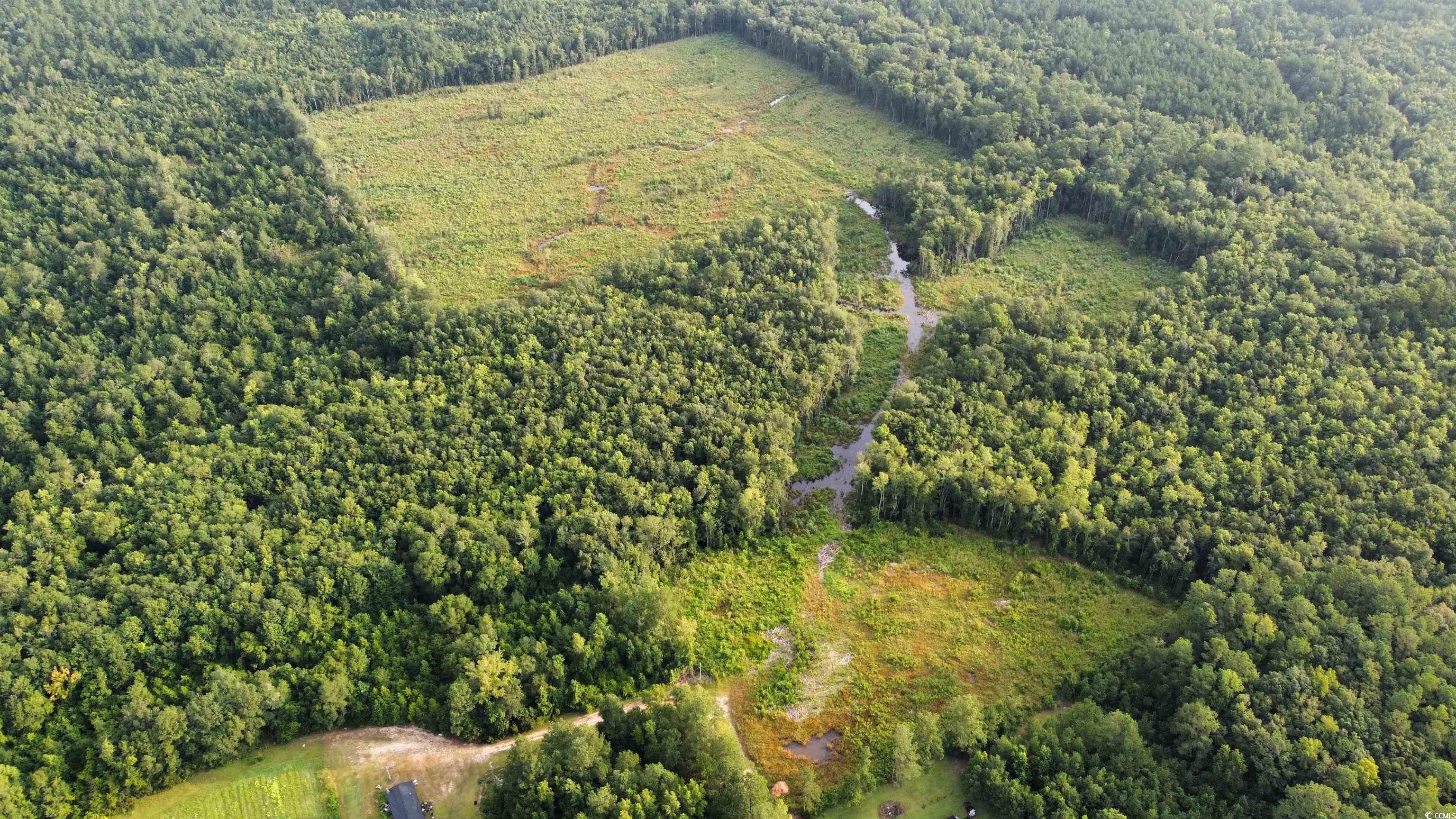 Tbd Oak Log Lake Rd. Property Photo 5