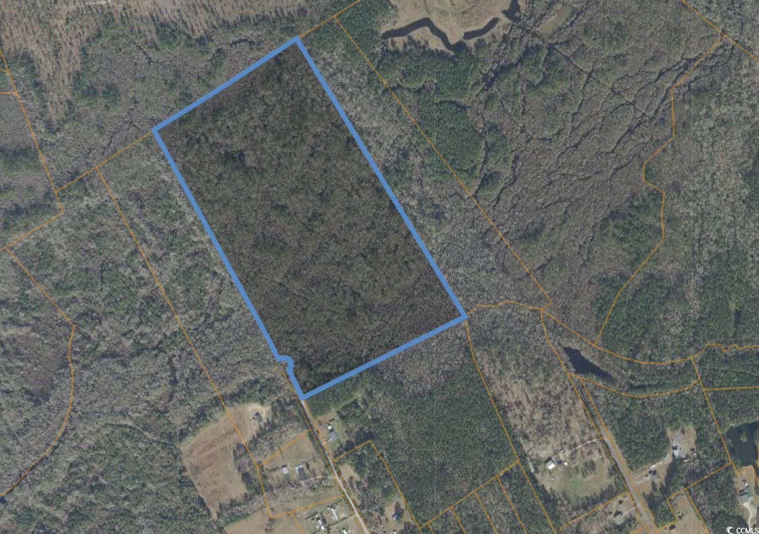 Tbd Oak Log Lake Rd. Property Photo 6