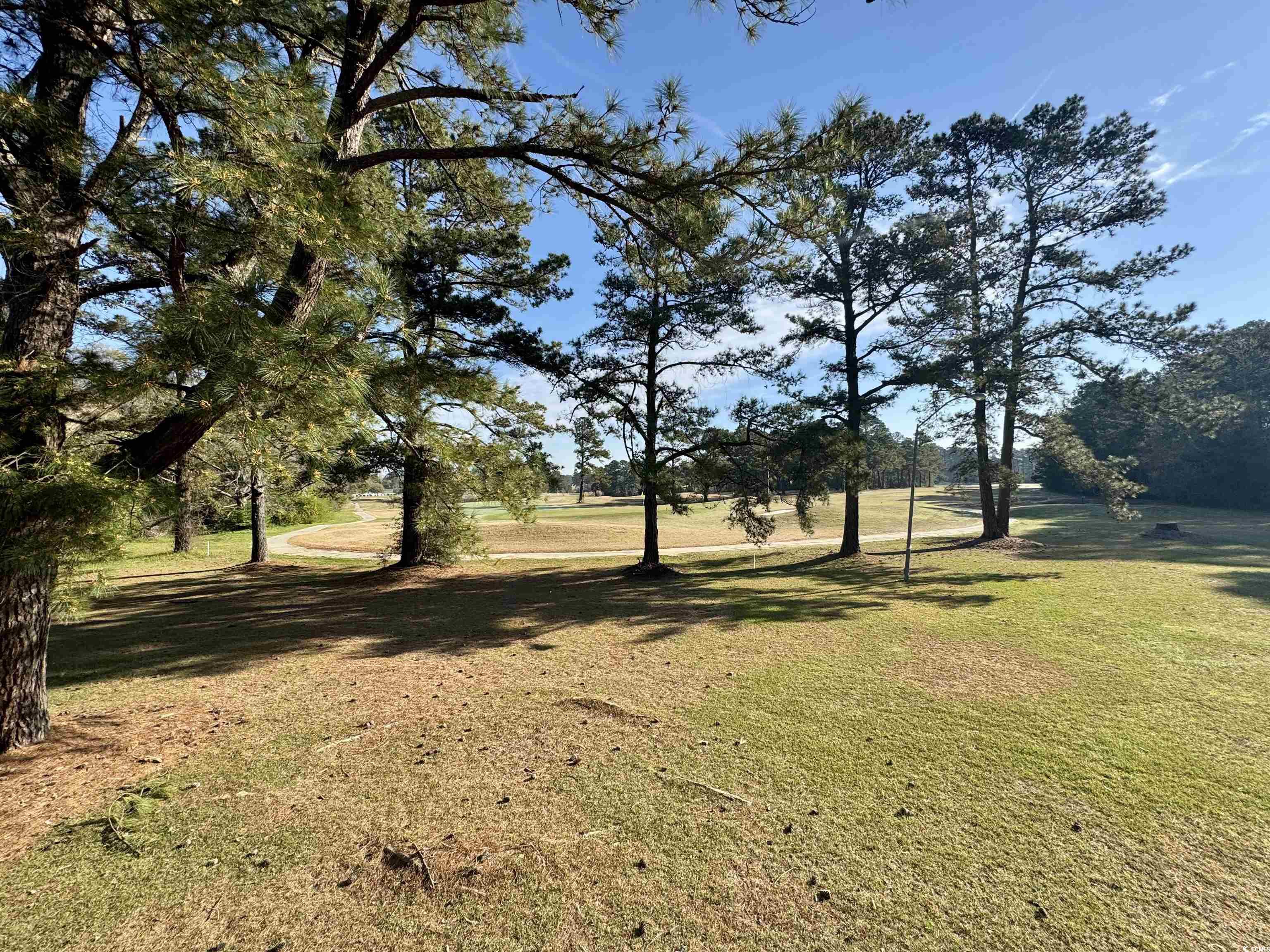 482 Greenview Dr. Property Photo 13