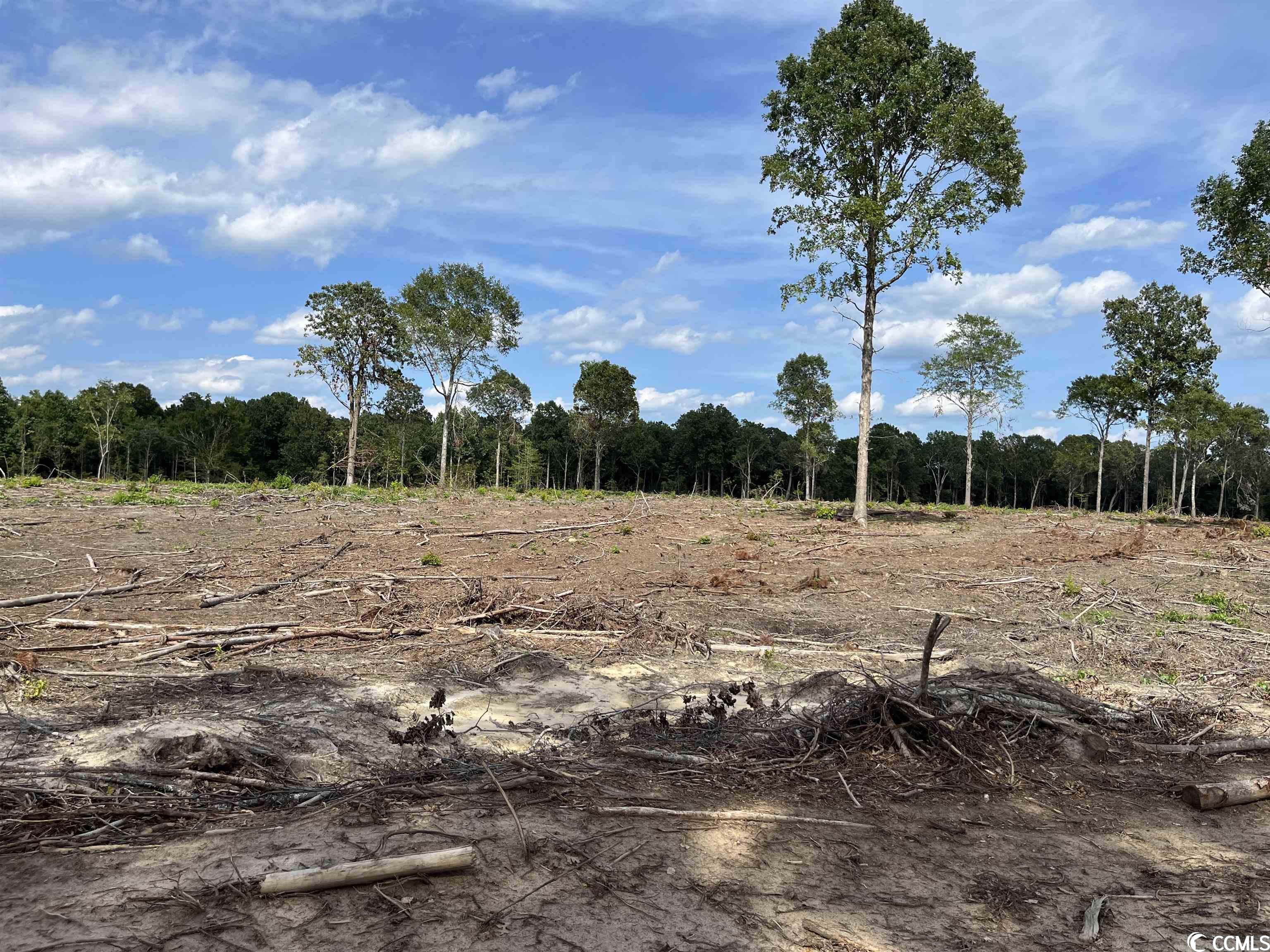 Tbd East Myrtle Beach Hwy. Property Photo 4