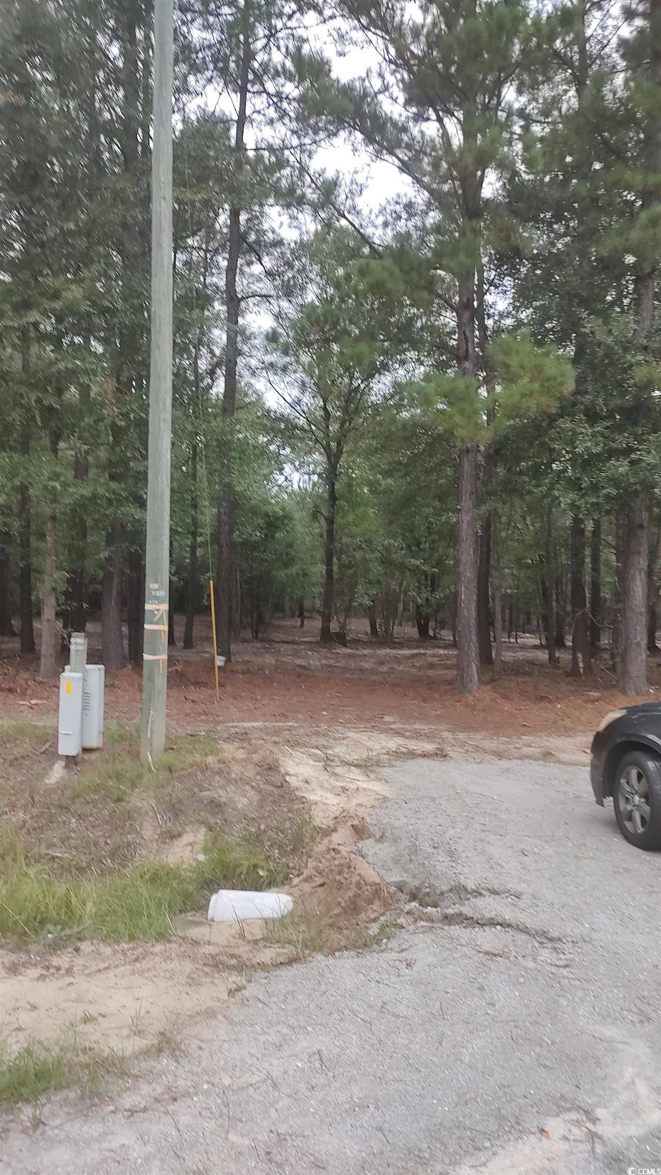 Tbd Lees Landing Circle Property Photo 18