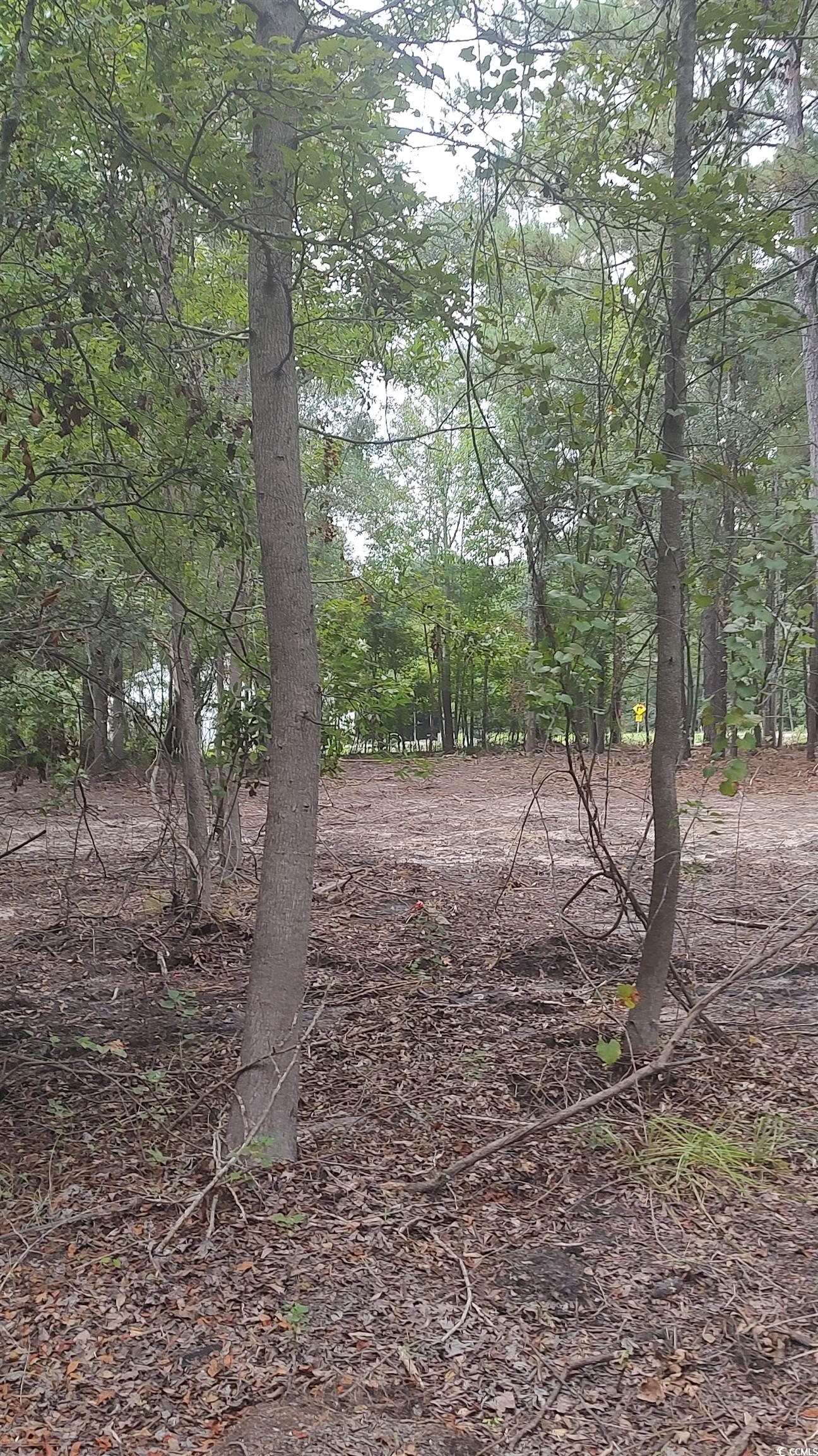 Tbd Lees Landing Circle Property Photo 22