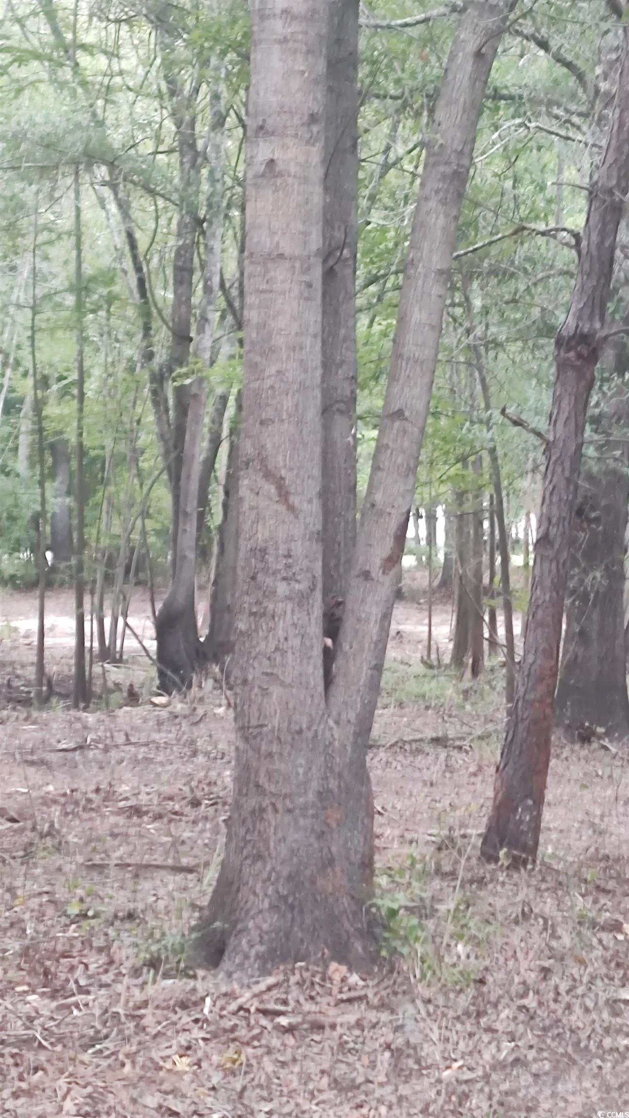 Tbd Lees Landing Circle Property Photo 23