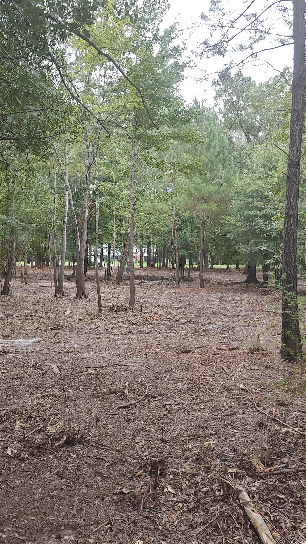 Tbd Lees Landing Circle Property Photo 24