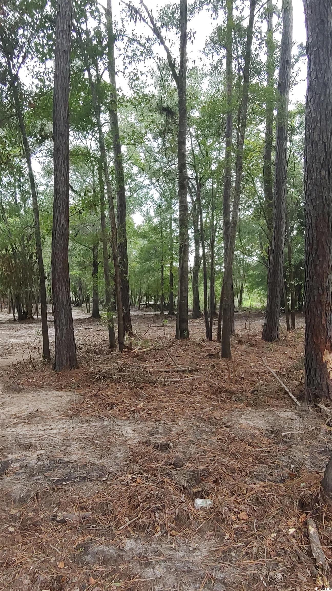 Tbd Lees Landing Circle Property Photo 25