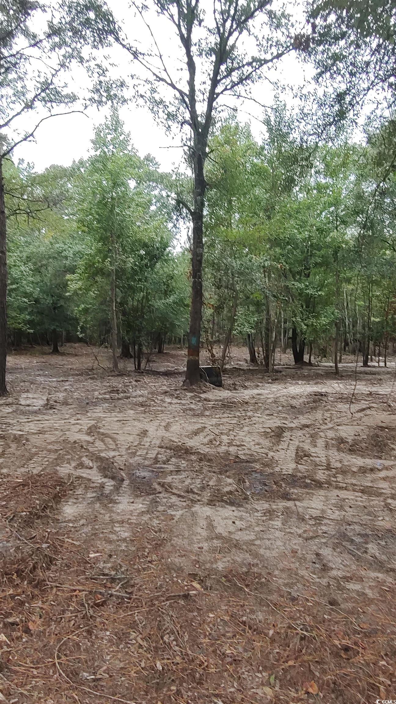 Tbd Lees Landing Circle Property Photo 26