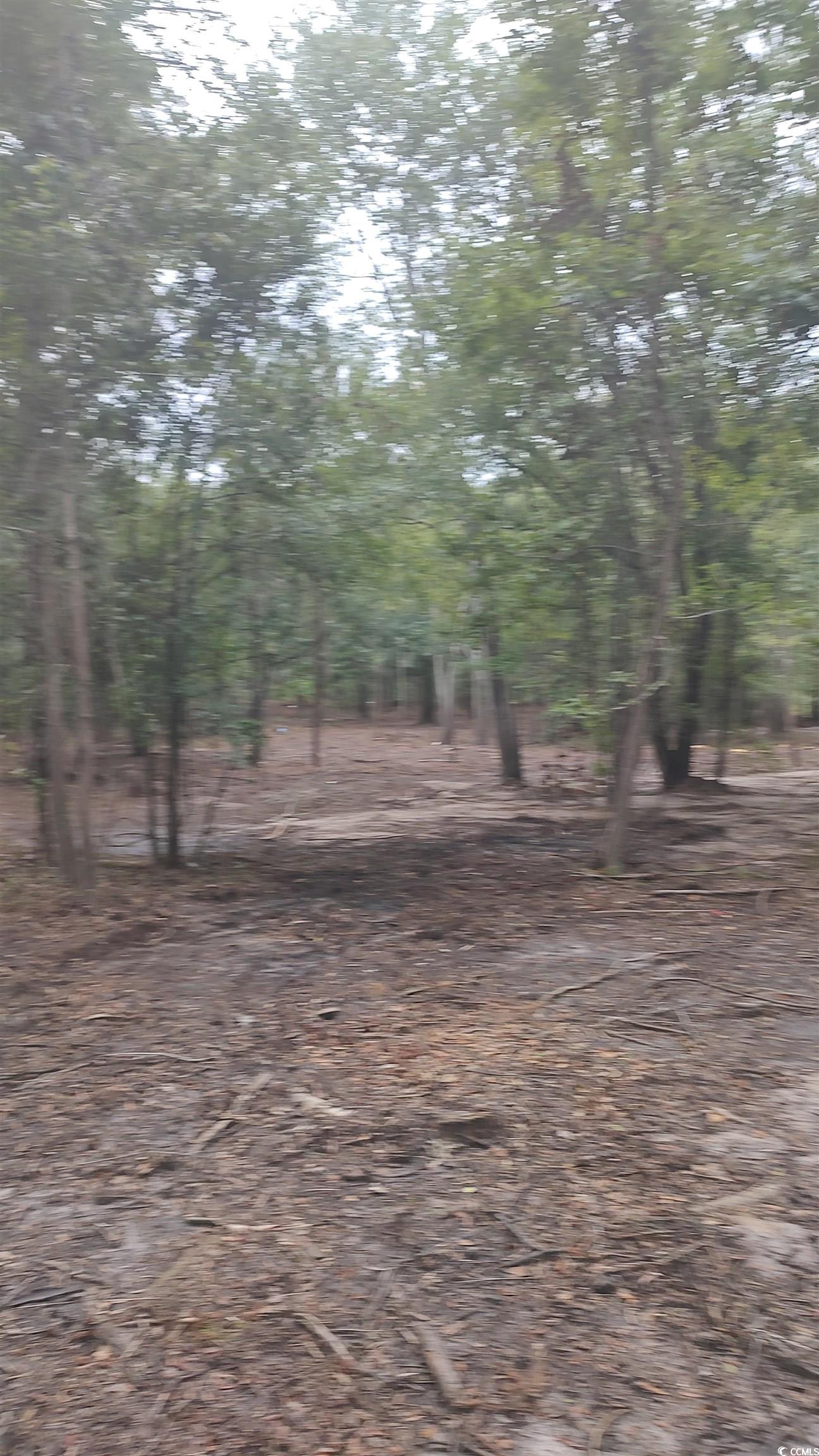Tbd Lees Landing Circle Property Photo 27