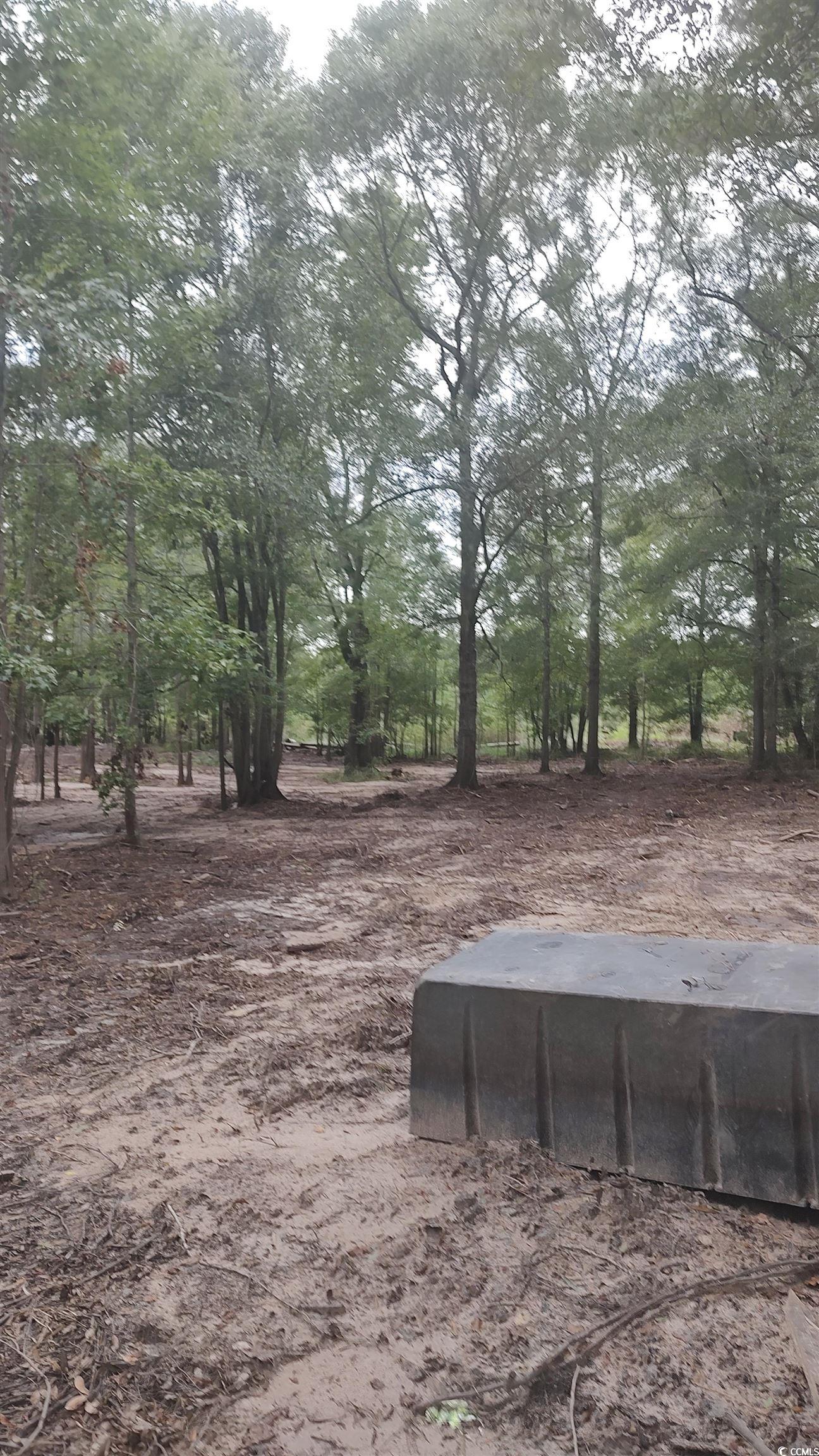 Tbd Lees Landing Circle Property Photo 28