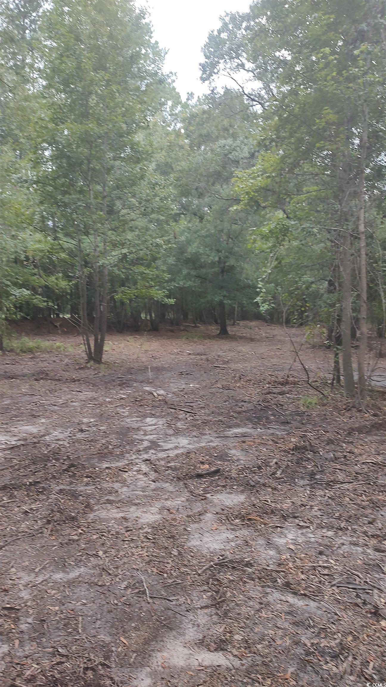 Tbd Lees Landing Circle Property Photo 29