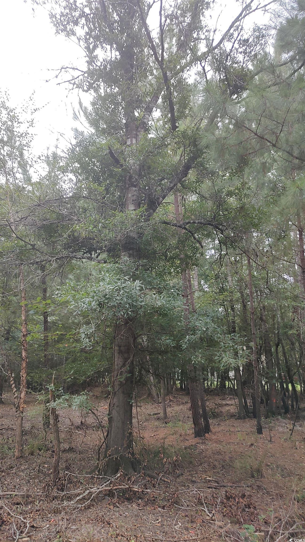 Tbd Lees Landing Circle Property Photo 30