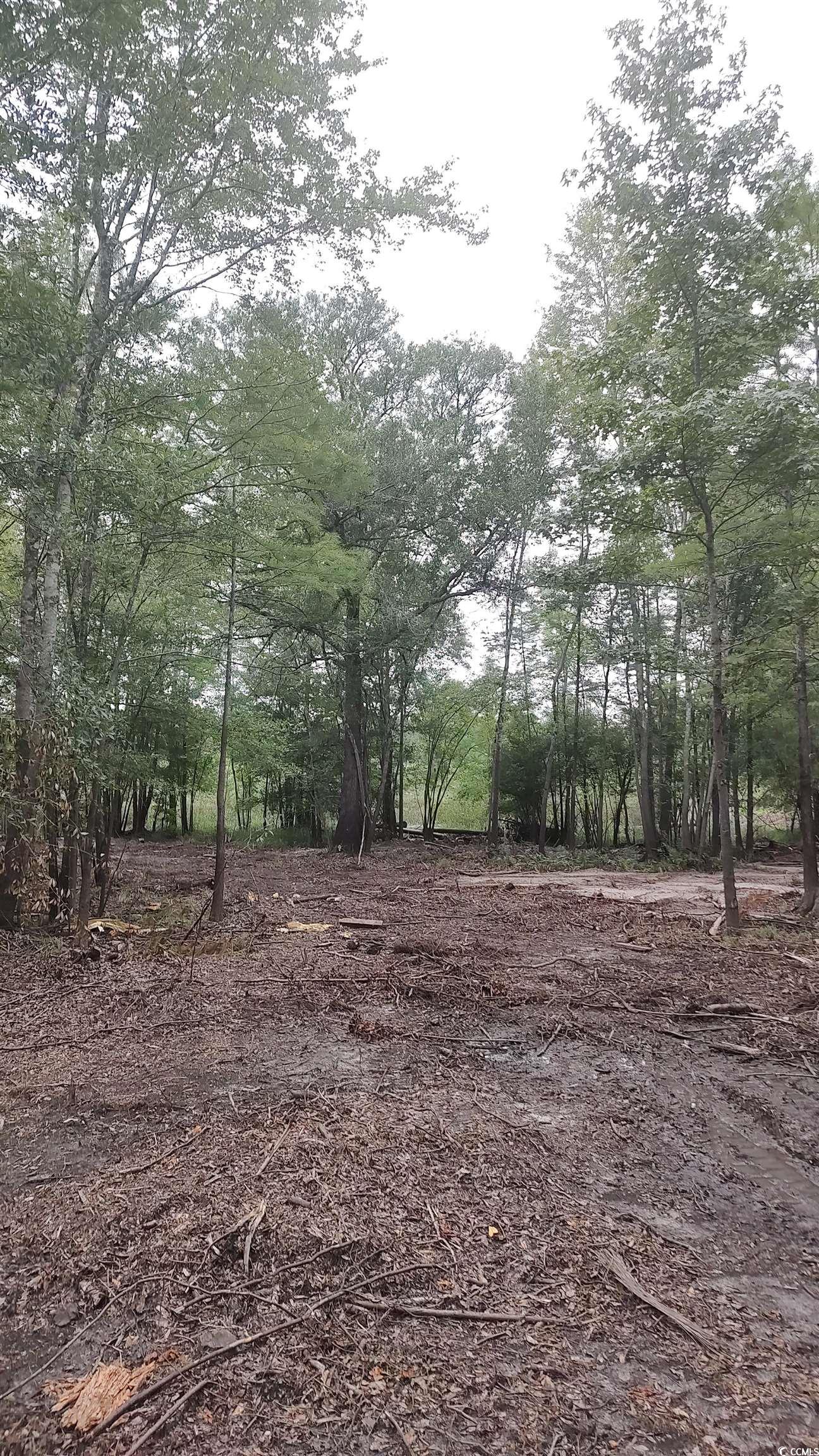 Tbd Lees Landing Circle Property Photo 32