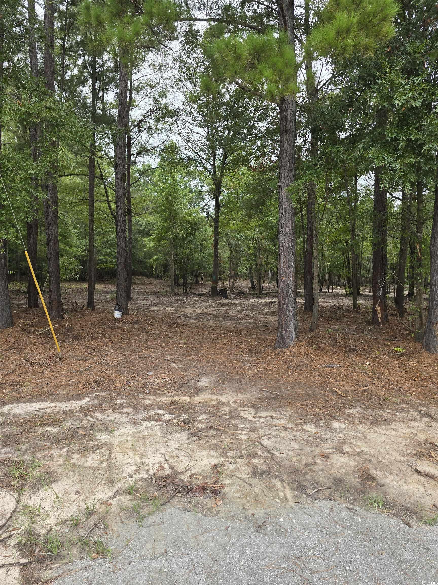 Tbd Lees Landing Circle Property Photo 33