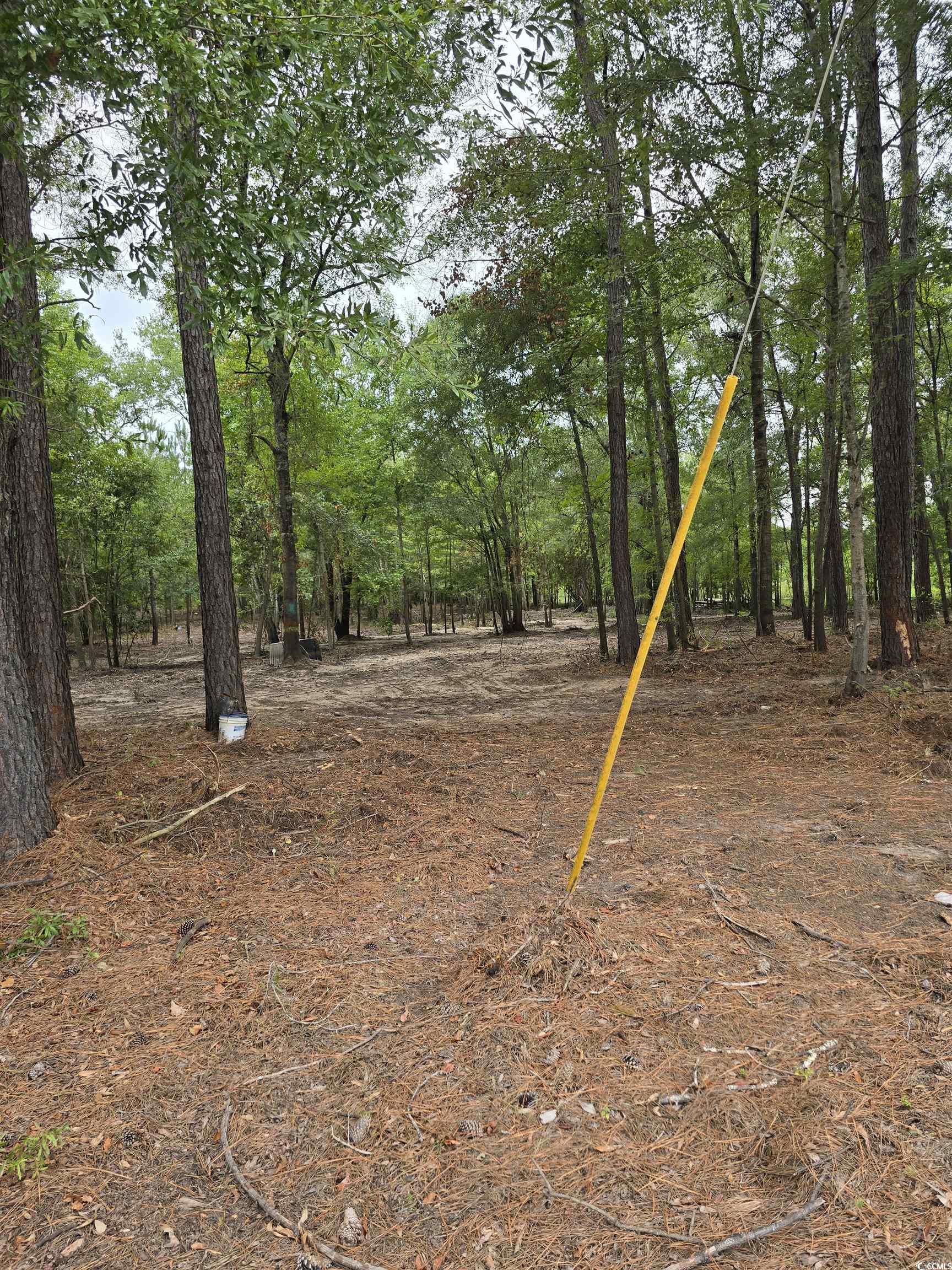 Tbd Lees Landing Circle Property Photo 34